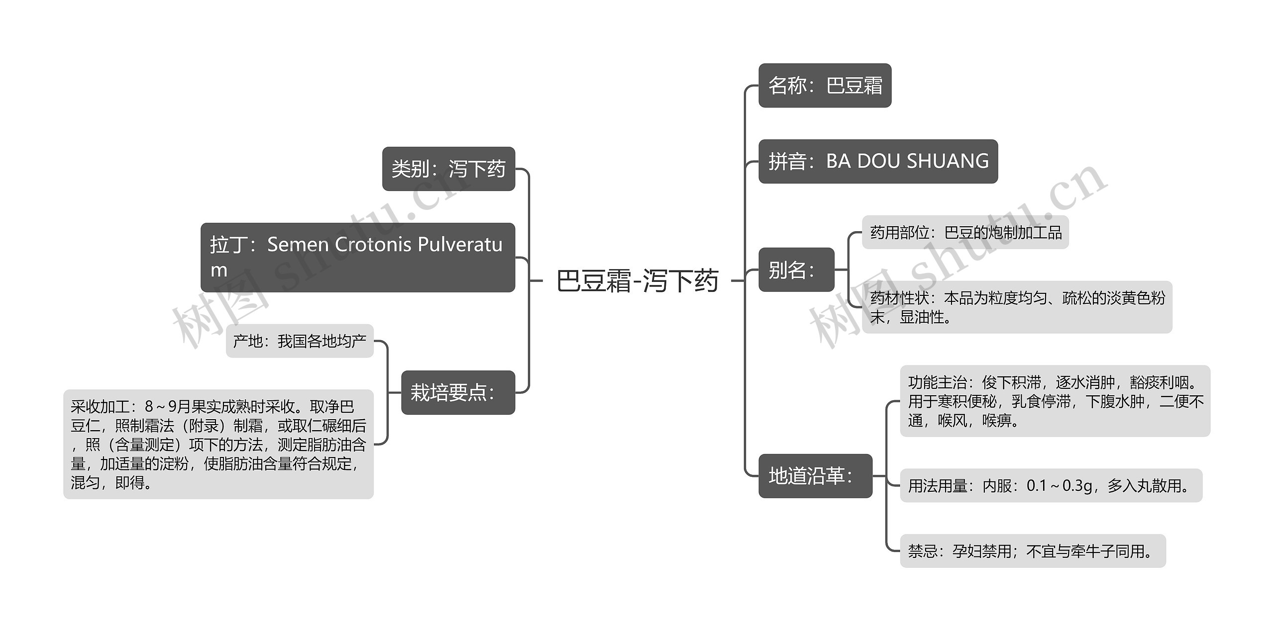 巴豆霜-泻下药 巴豆霜-泻下药