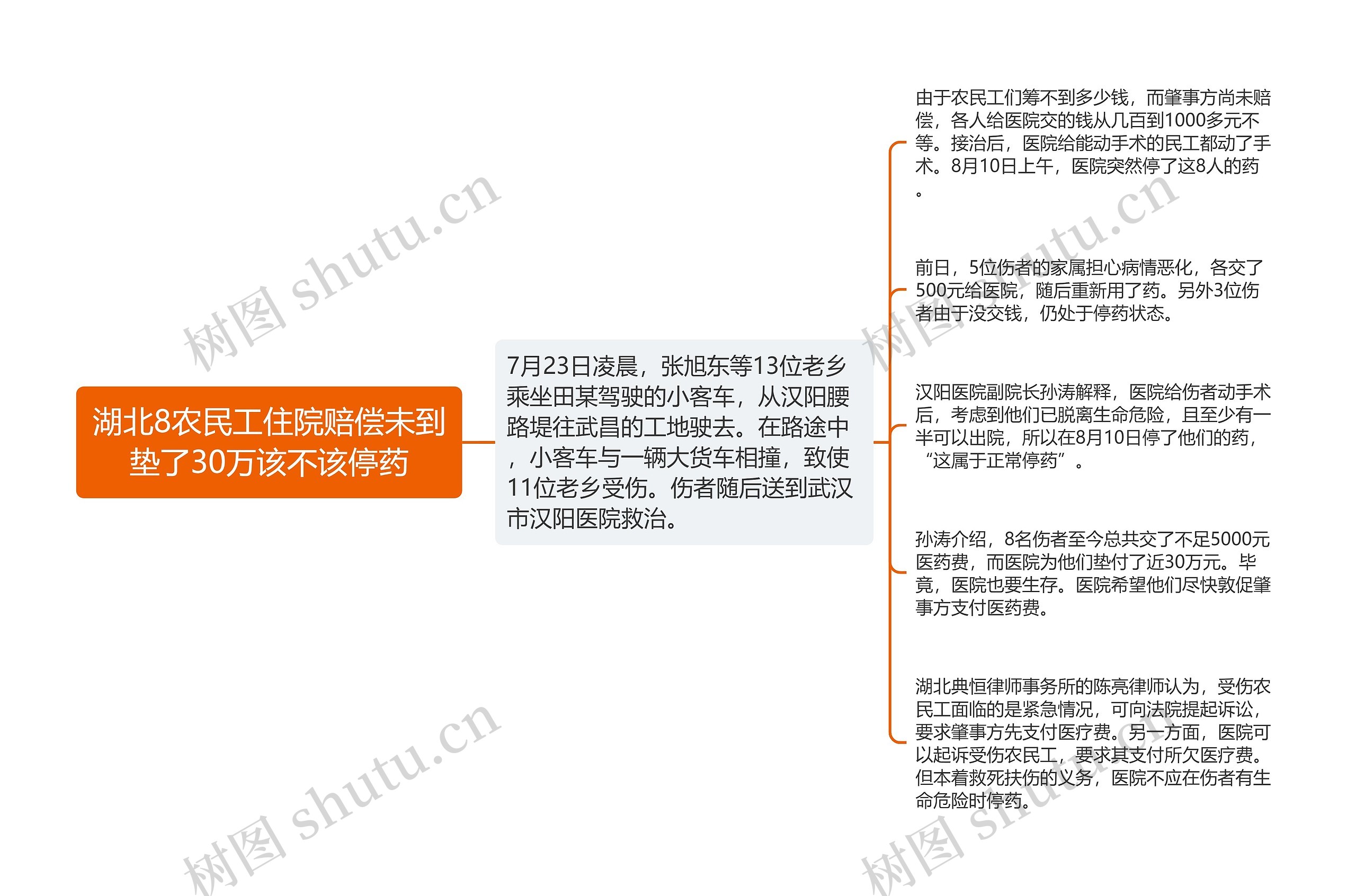 湖北8农民工住院赔偿未到垫了30万该不该停药思维导图