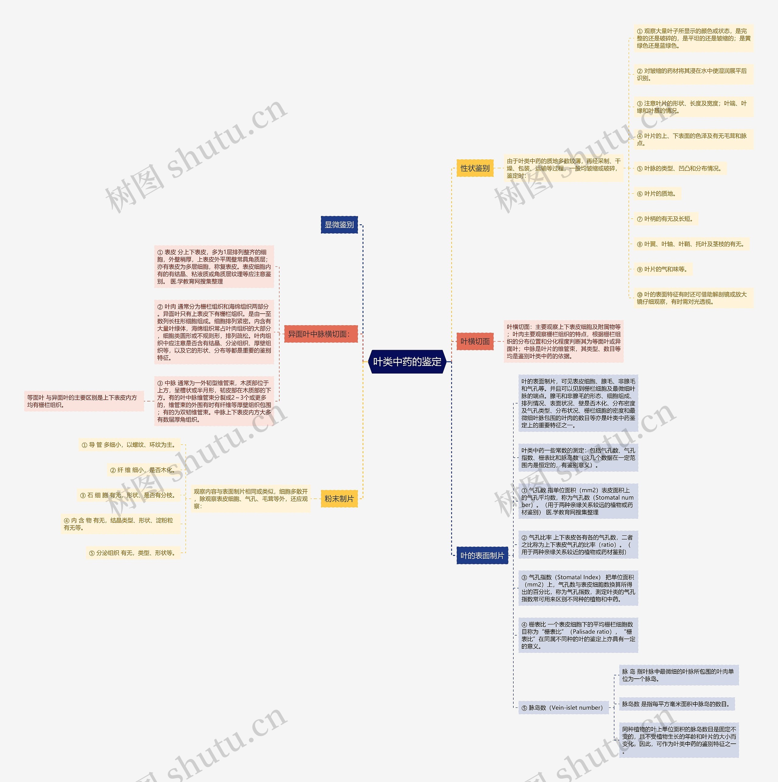叶类中药的鉴定思维导图