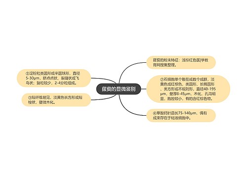 菝葜的显微鉴别