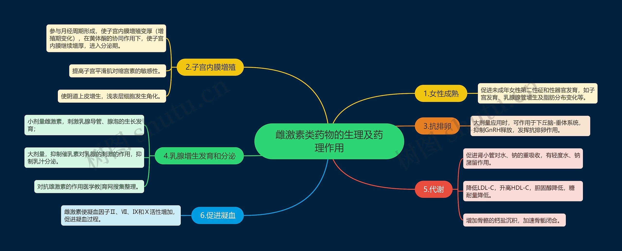 雌激素类药物的生理及药理作用思维导图