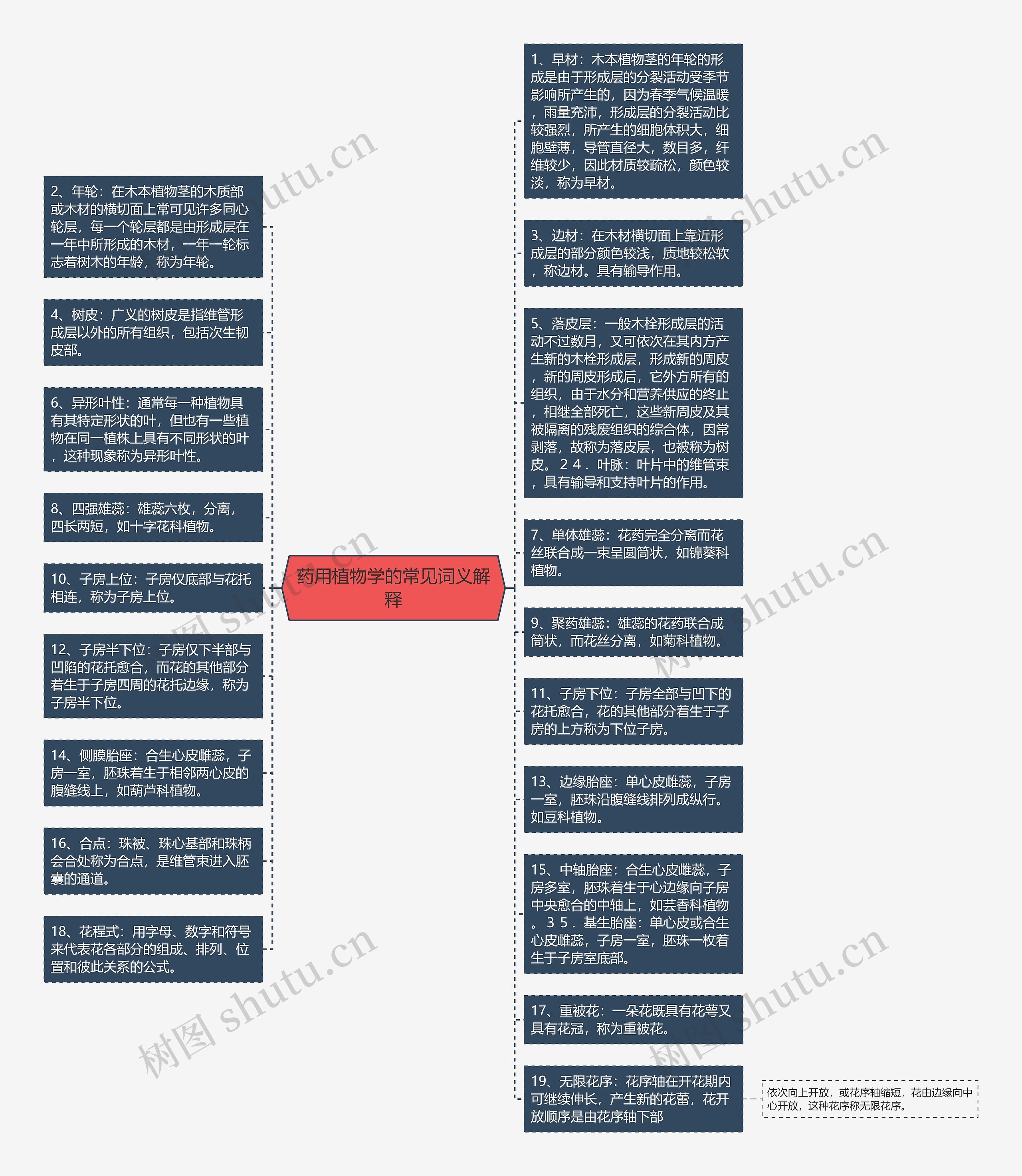 药用植物学的常见词义解释思维导图