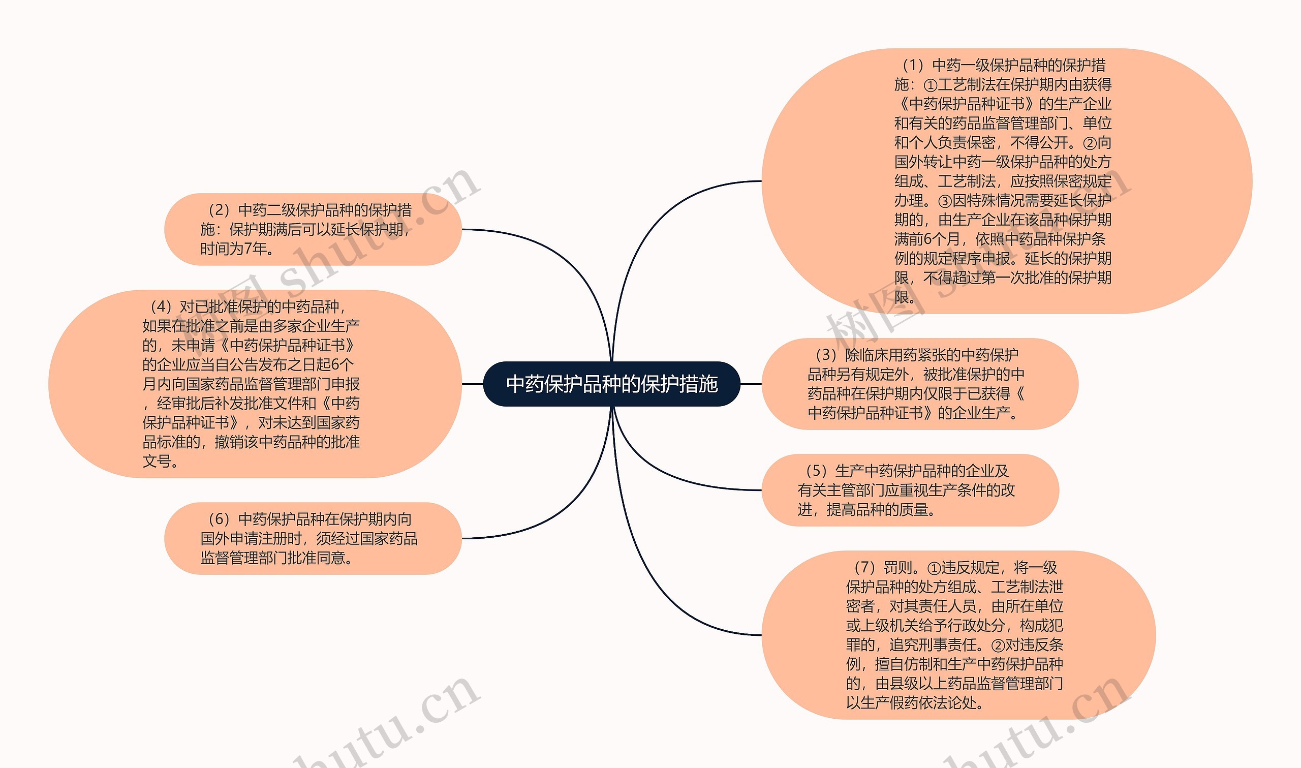 中药保护品种的保护措施思维导图