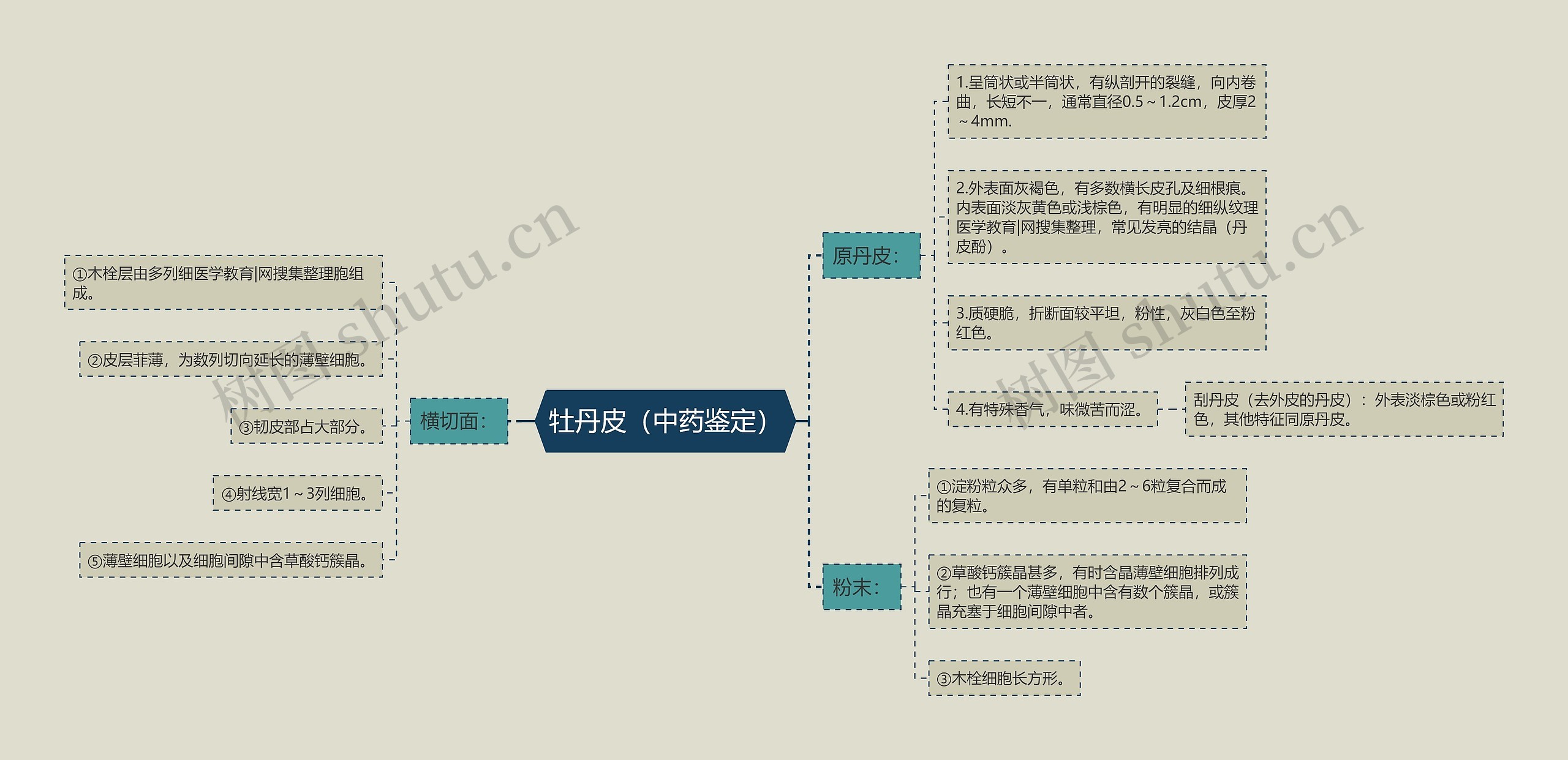 牡丹皮（中药鉴定）思维导图