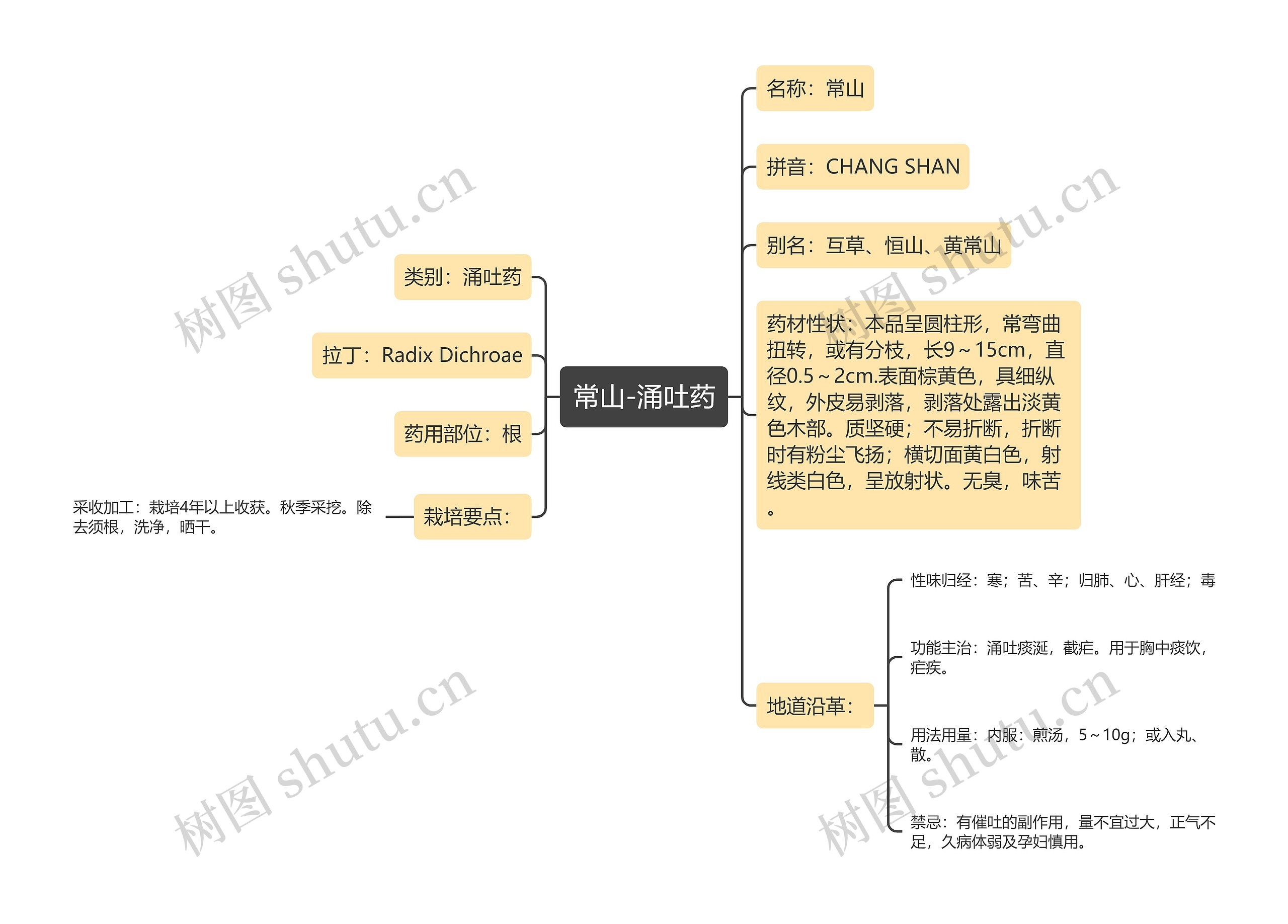 常山-涌吐药思维导图