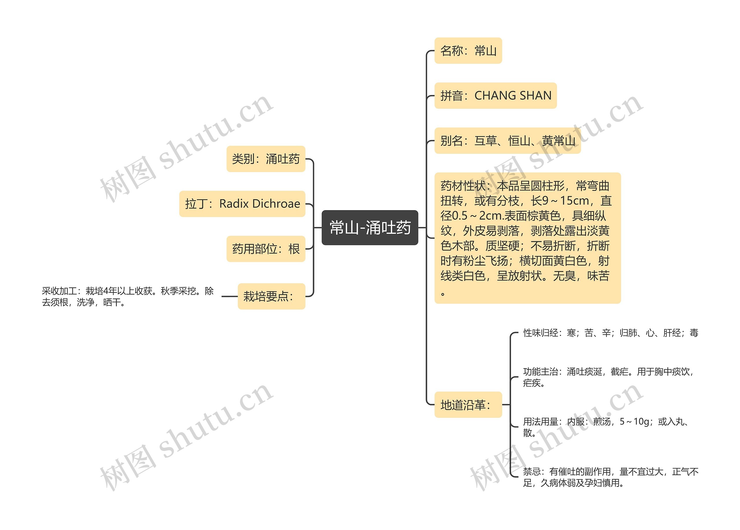 常山-涌吐药 常山-涌吐药