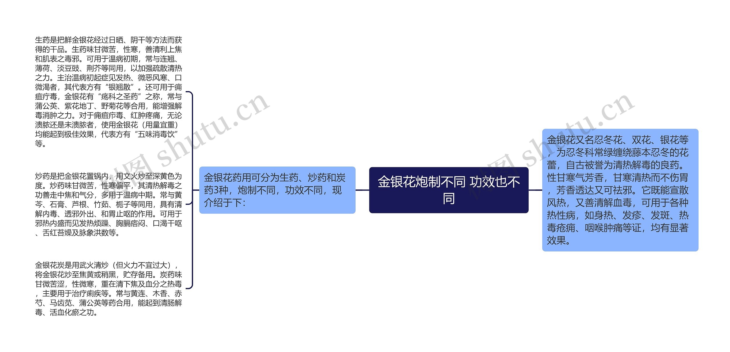 金银花炮制不同 功效也不同思维导图