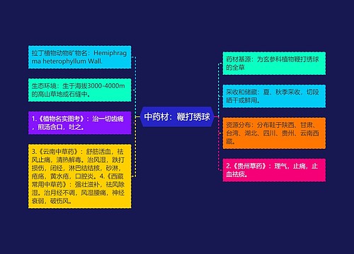 中药材：鞭打绣球