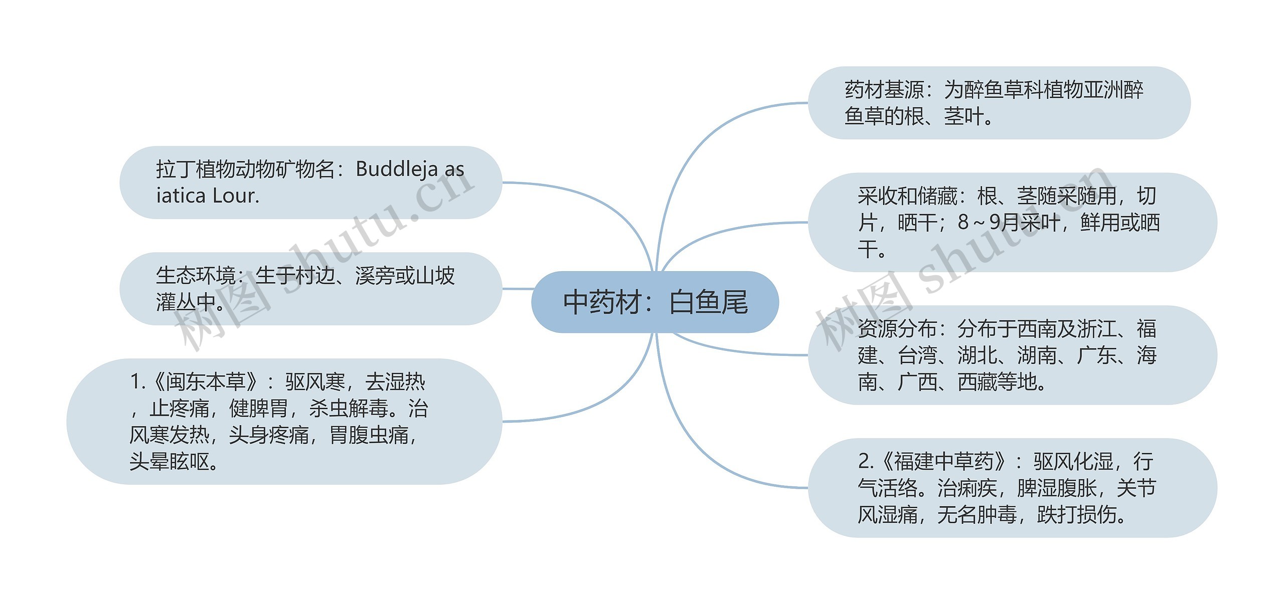 中药材：白鱼尾思维导图