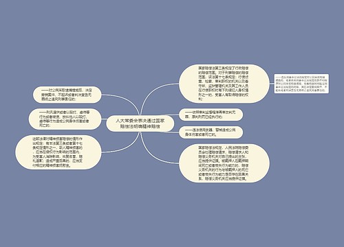 人大常委会表决通过国家赔偿法明确精神赔偿