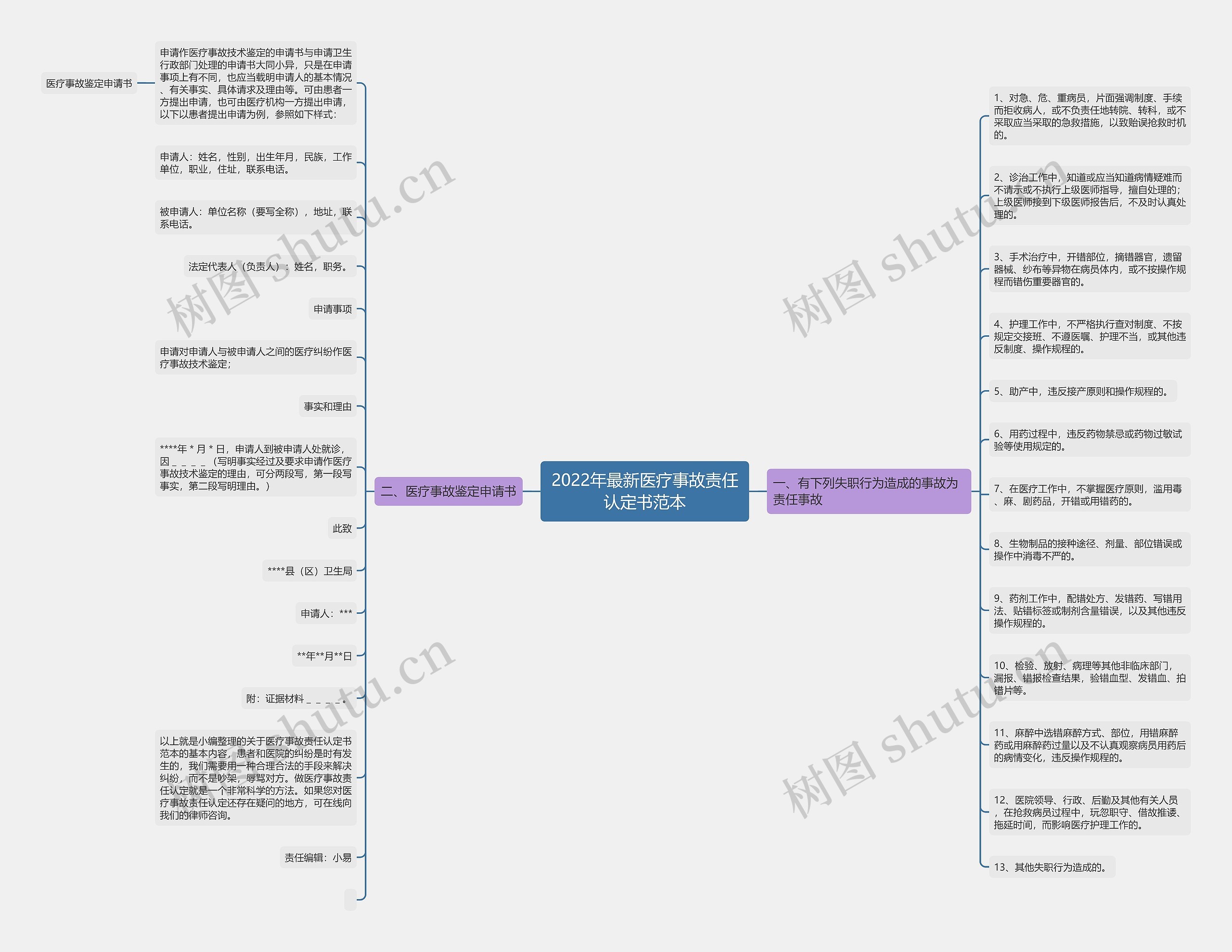 2022年最新医疗事故责任认定书范本思维导图