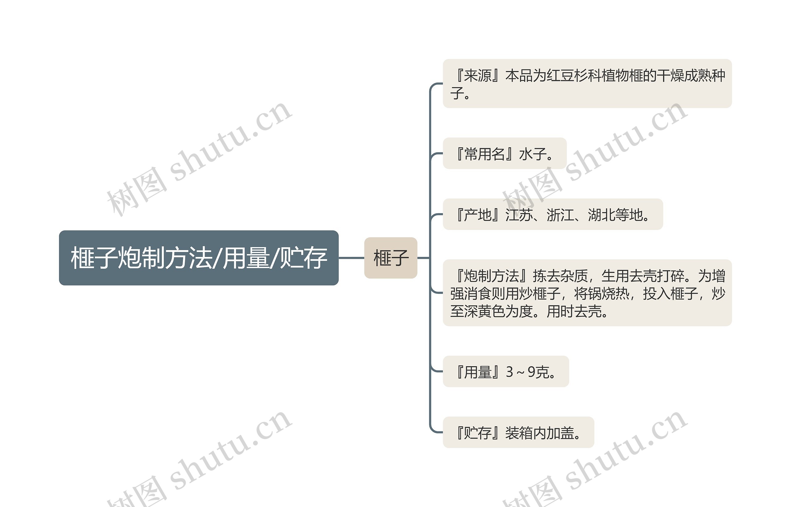 榧子炮制方法/用量/贮存思维导图