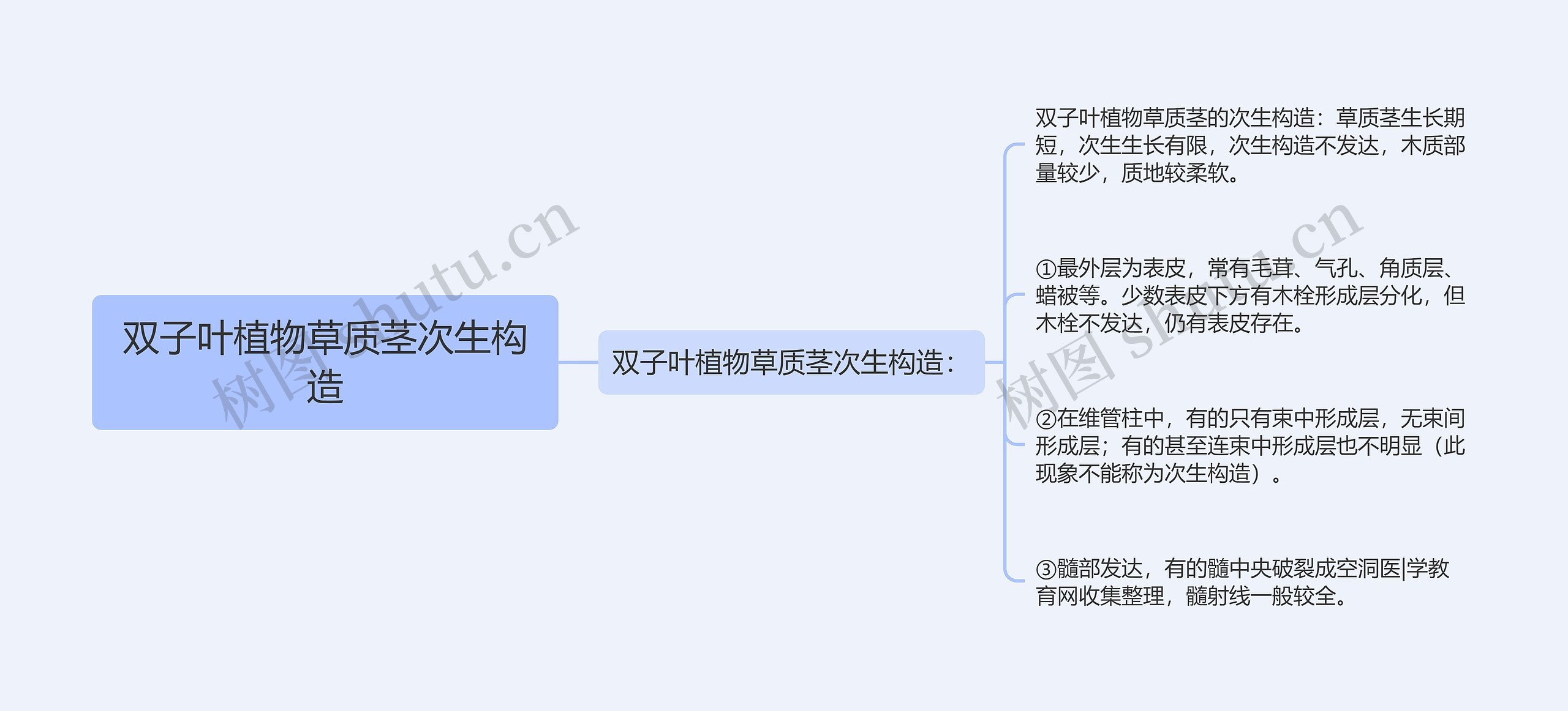 双子叶植物草质茎次生构造思维导图