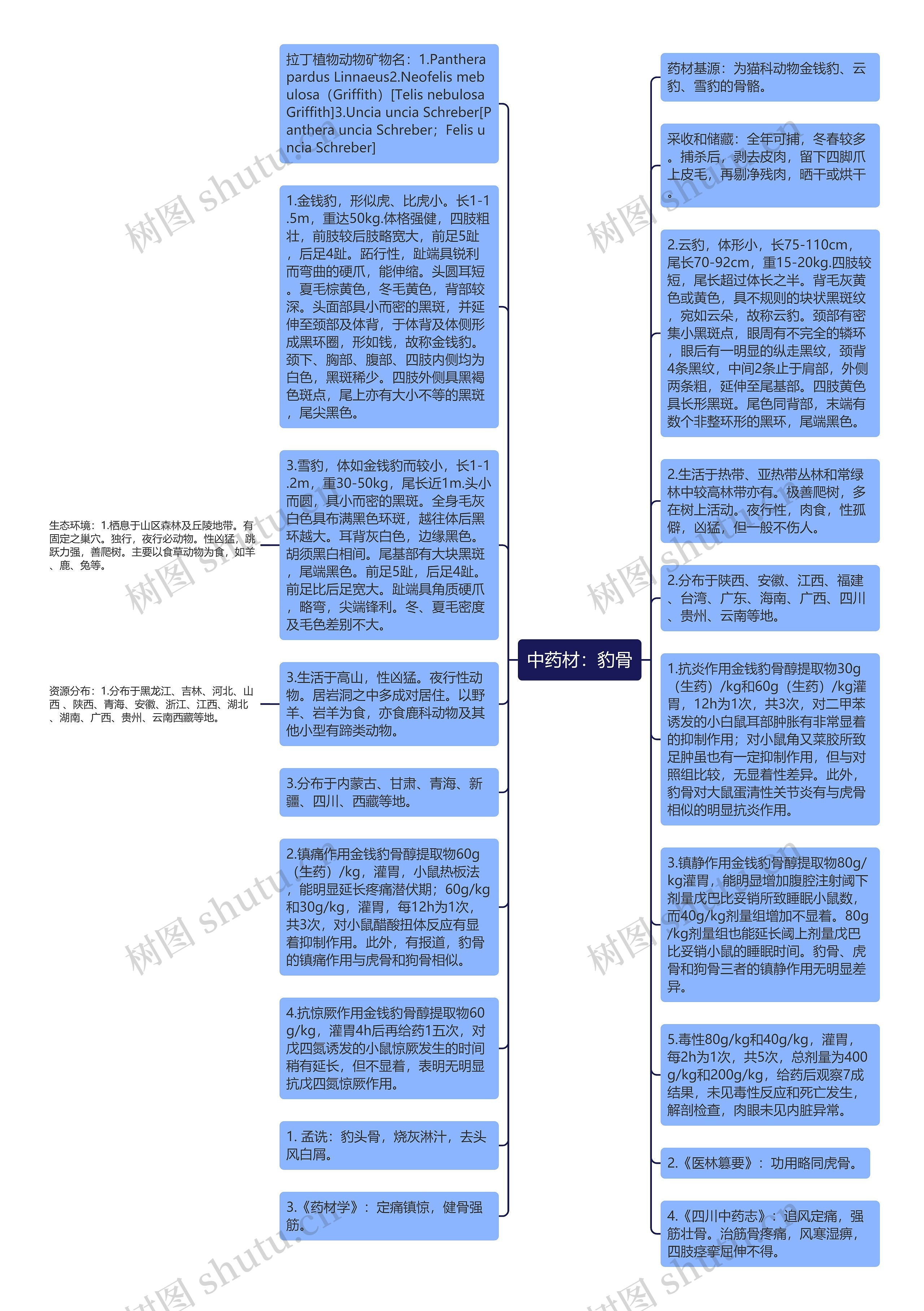 中药材：豹骨思维导图