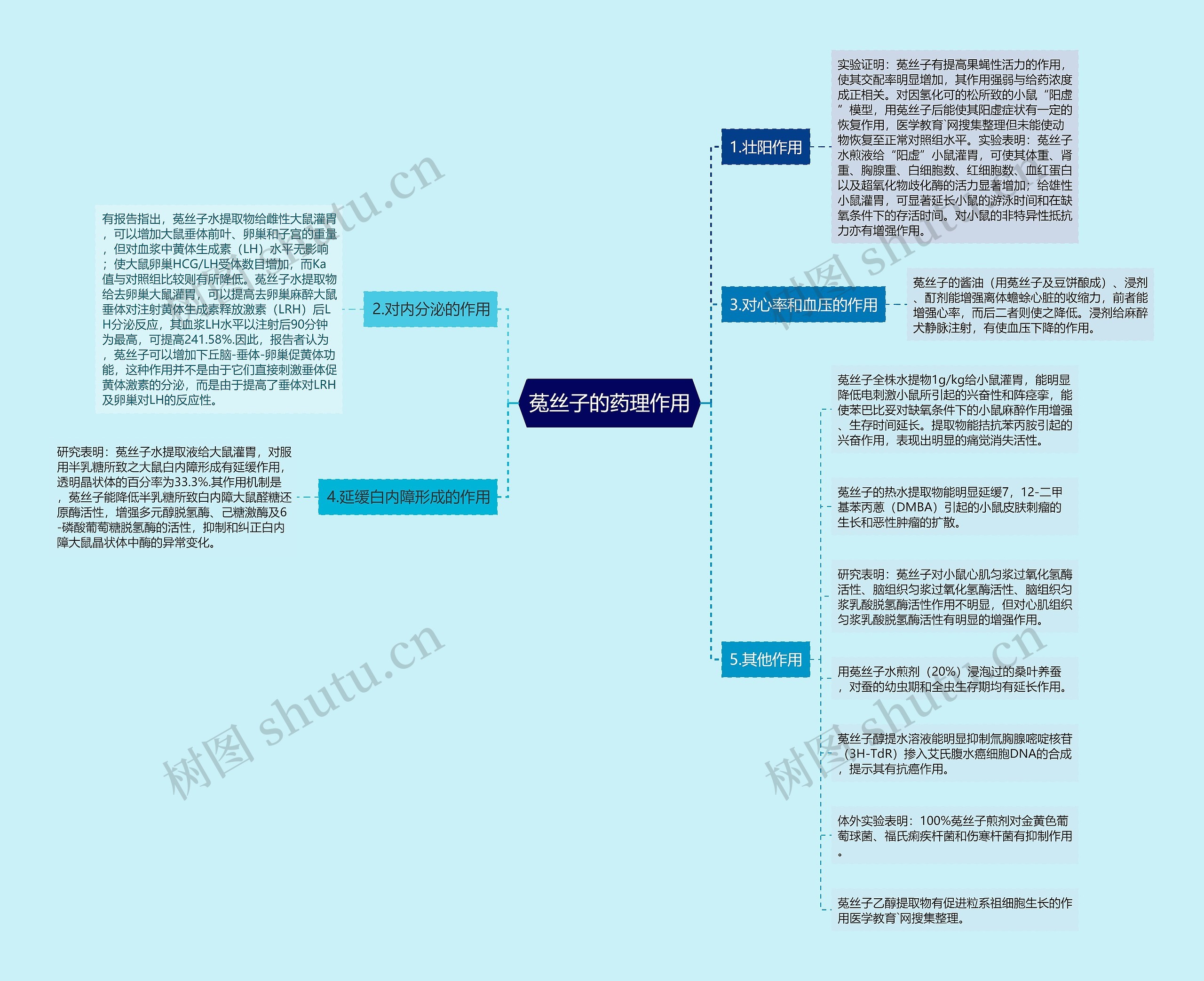 菟丝子的药理作用思维导图