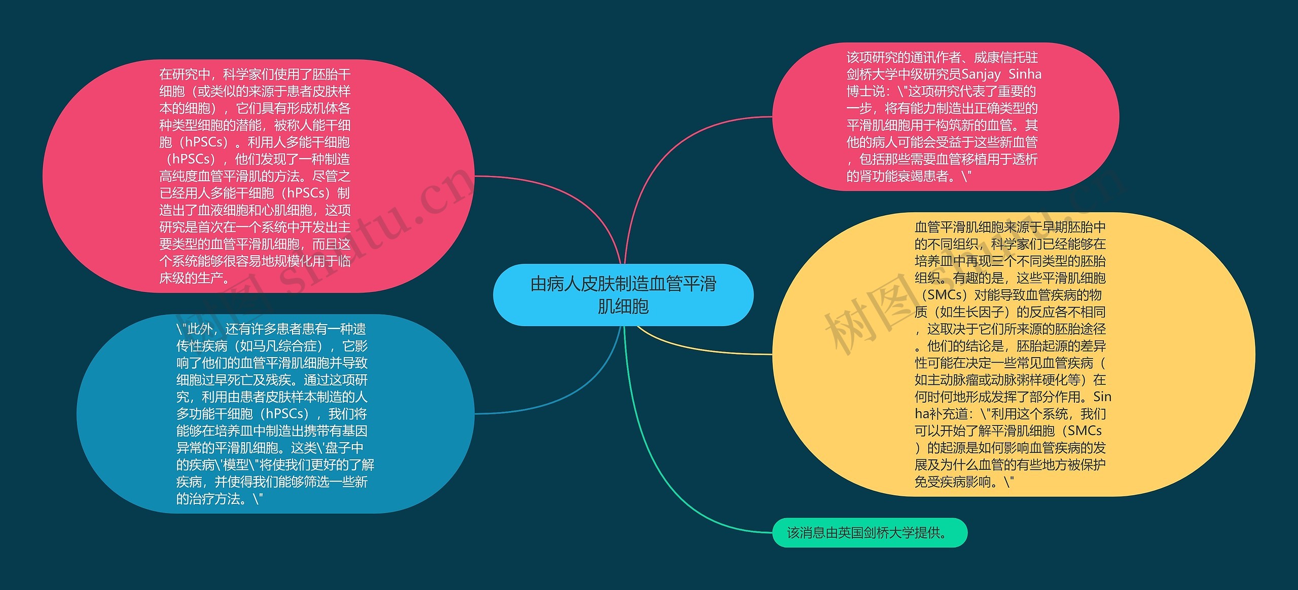 由病人皮肤制造血管平滑肌细胞