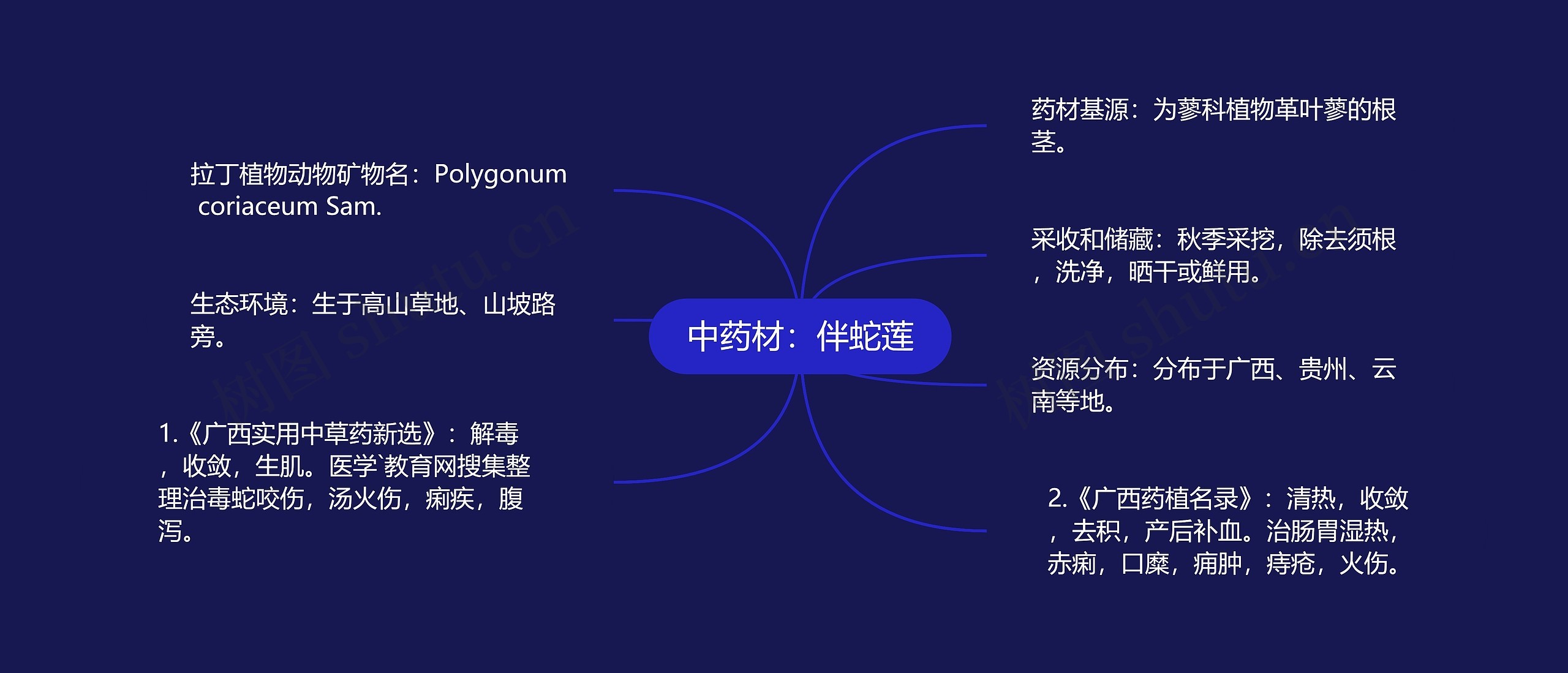 中药材:伴蛇莲 中药材:伴蛇莲