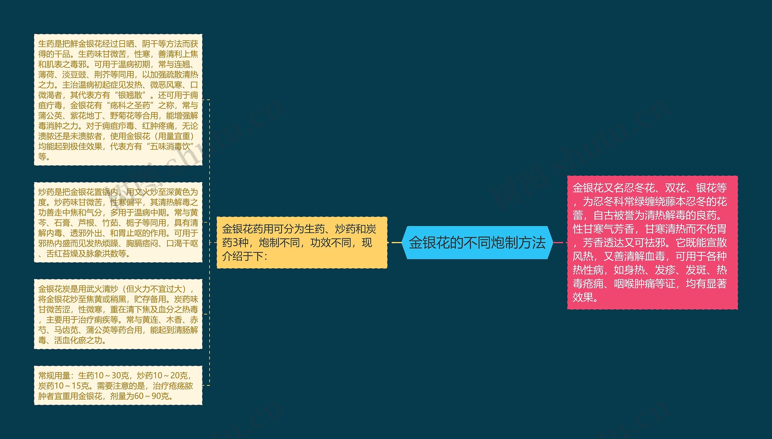 金银花的不同炮制方法思维导图