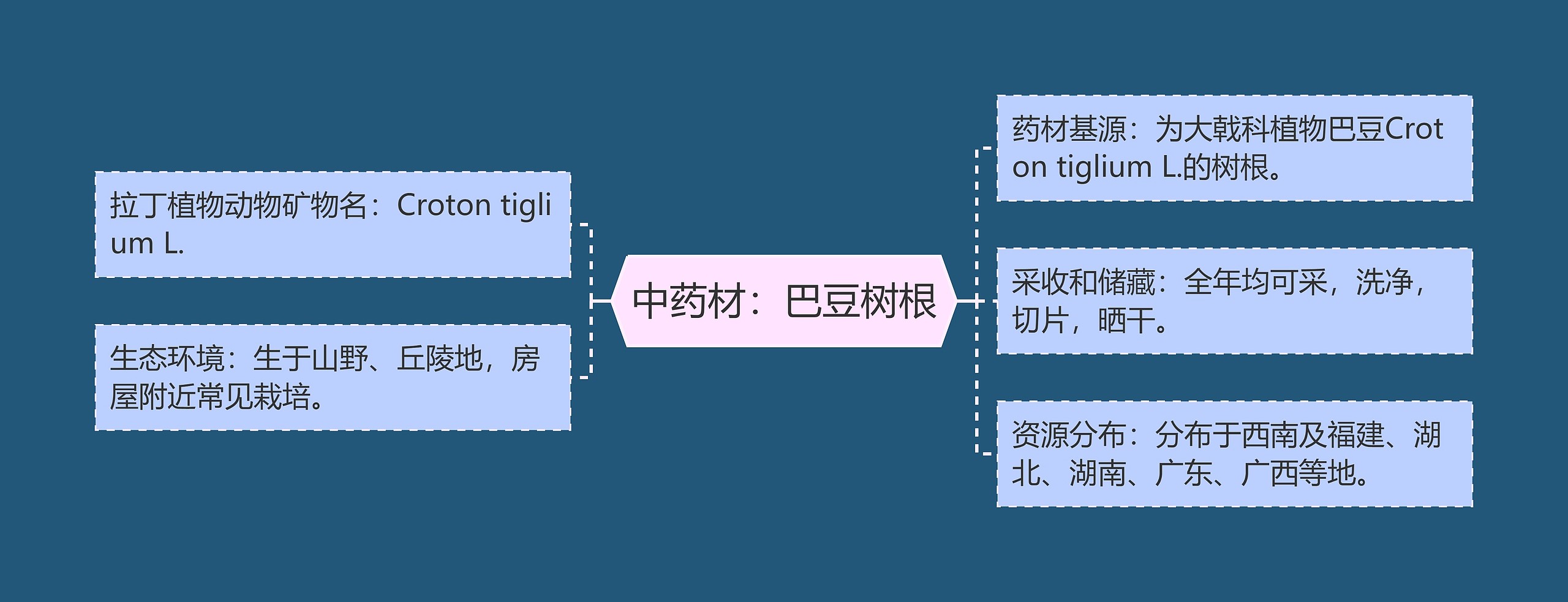 中药材：巴豆树根