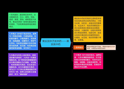 果实及种子类中药——果实类中药