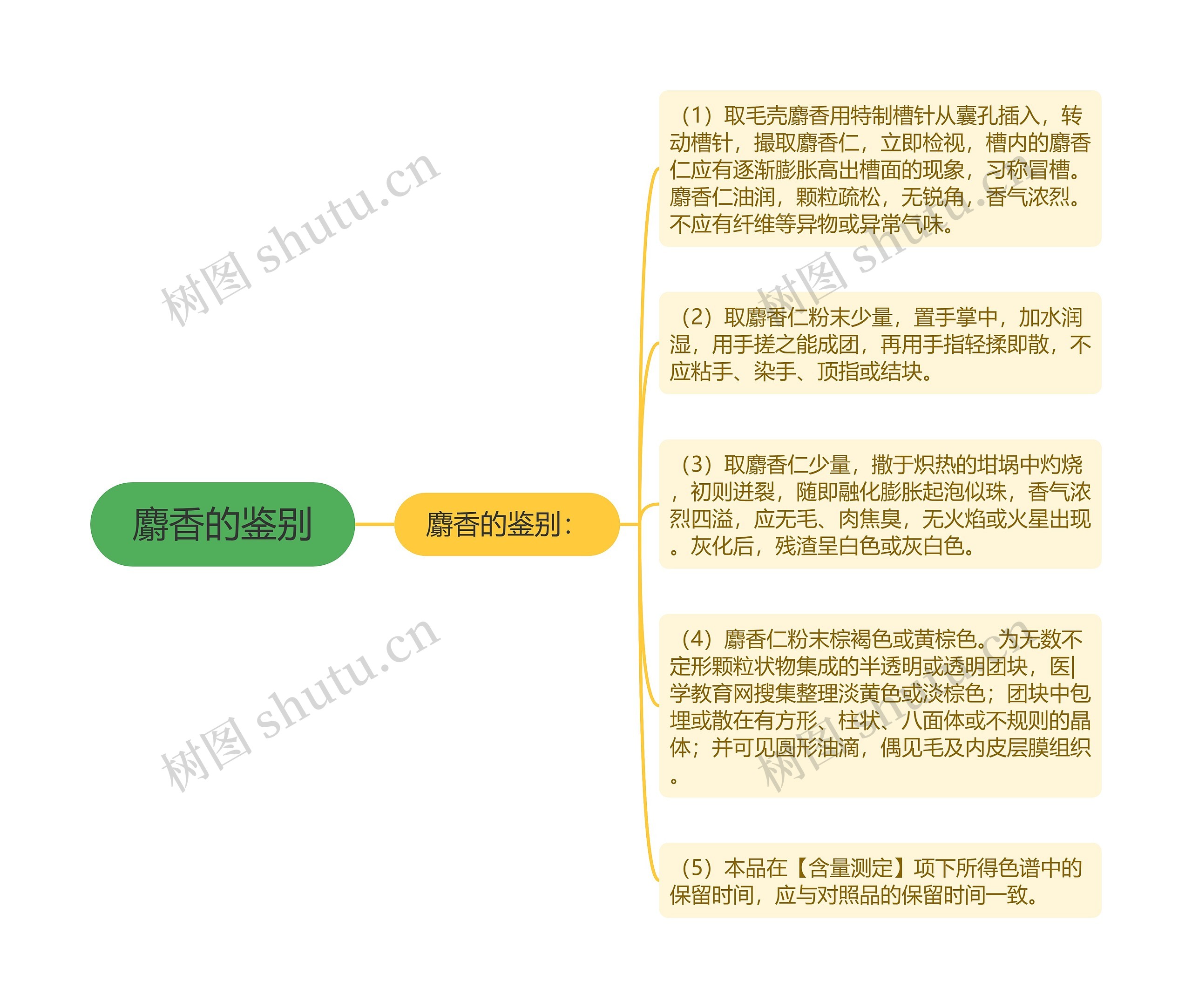 麝香的鉴别思维导图