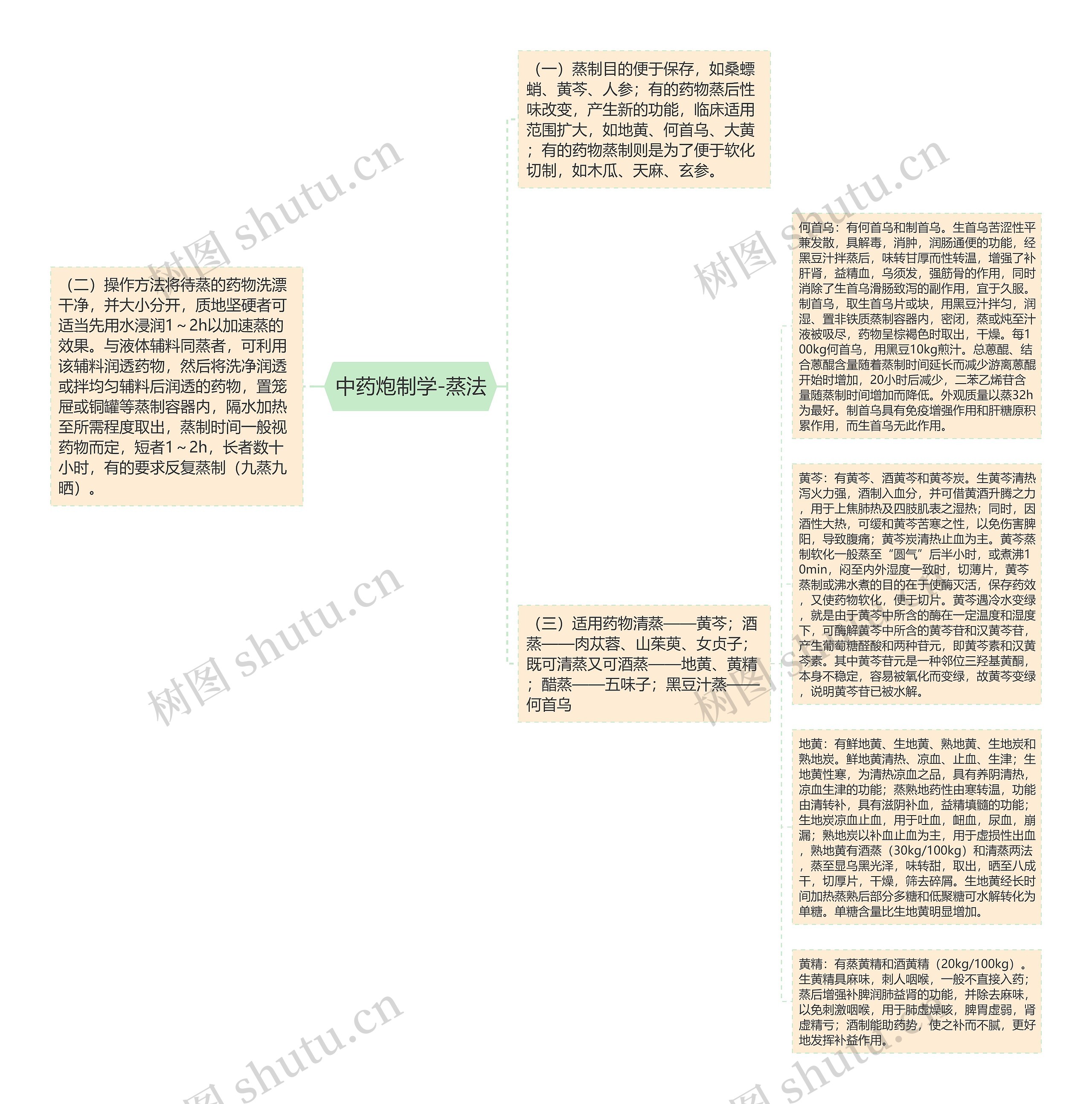 中药炮制学-蒸法思维导图