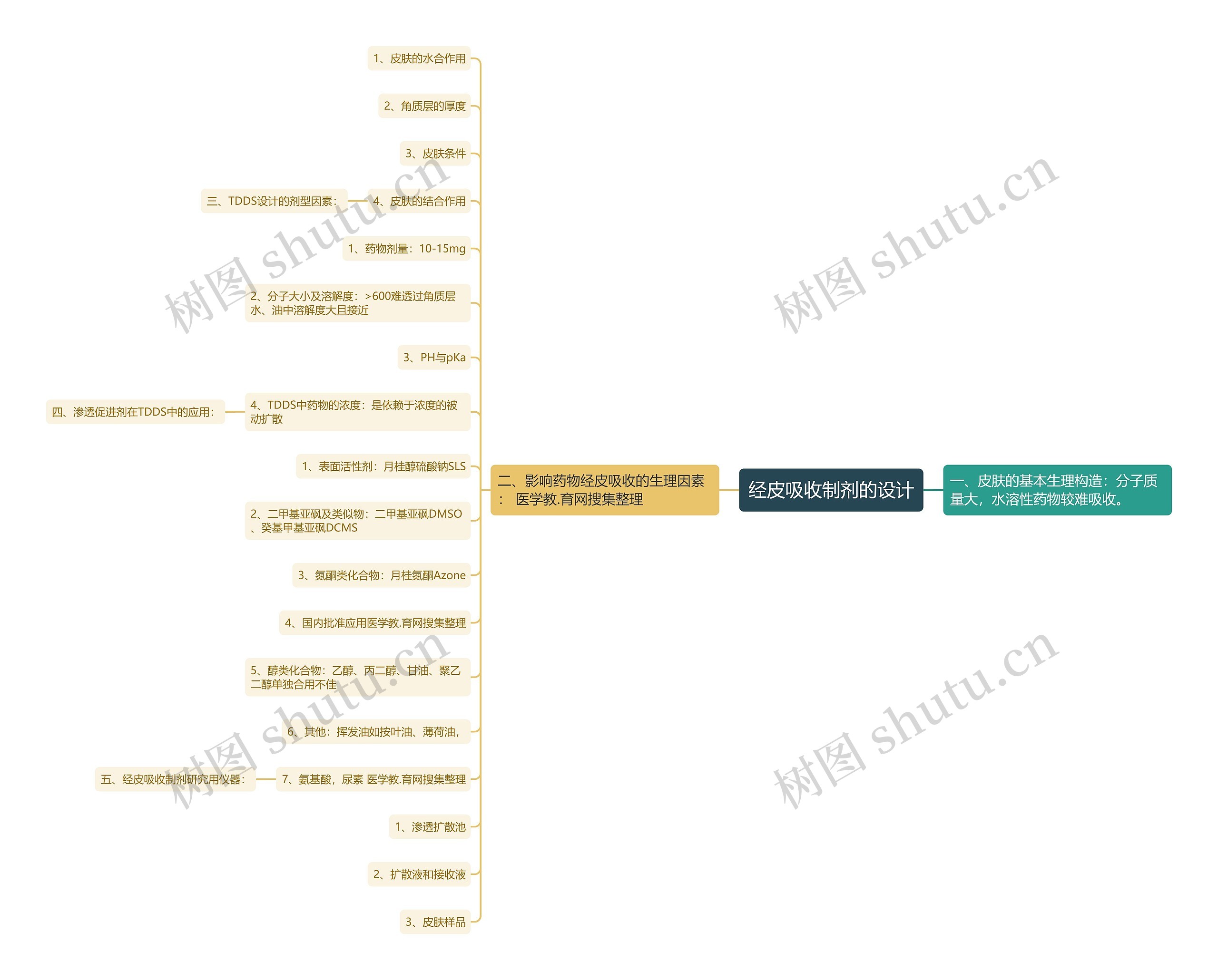 经皮吸收制剂的设计思维导图