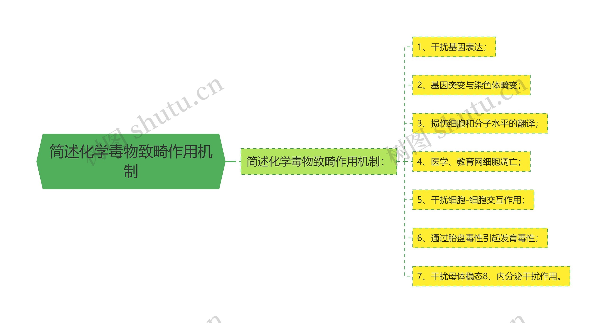 简述化学毒物致畸作用机制思维导图