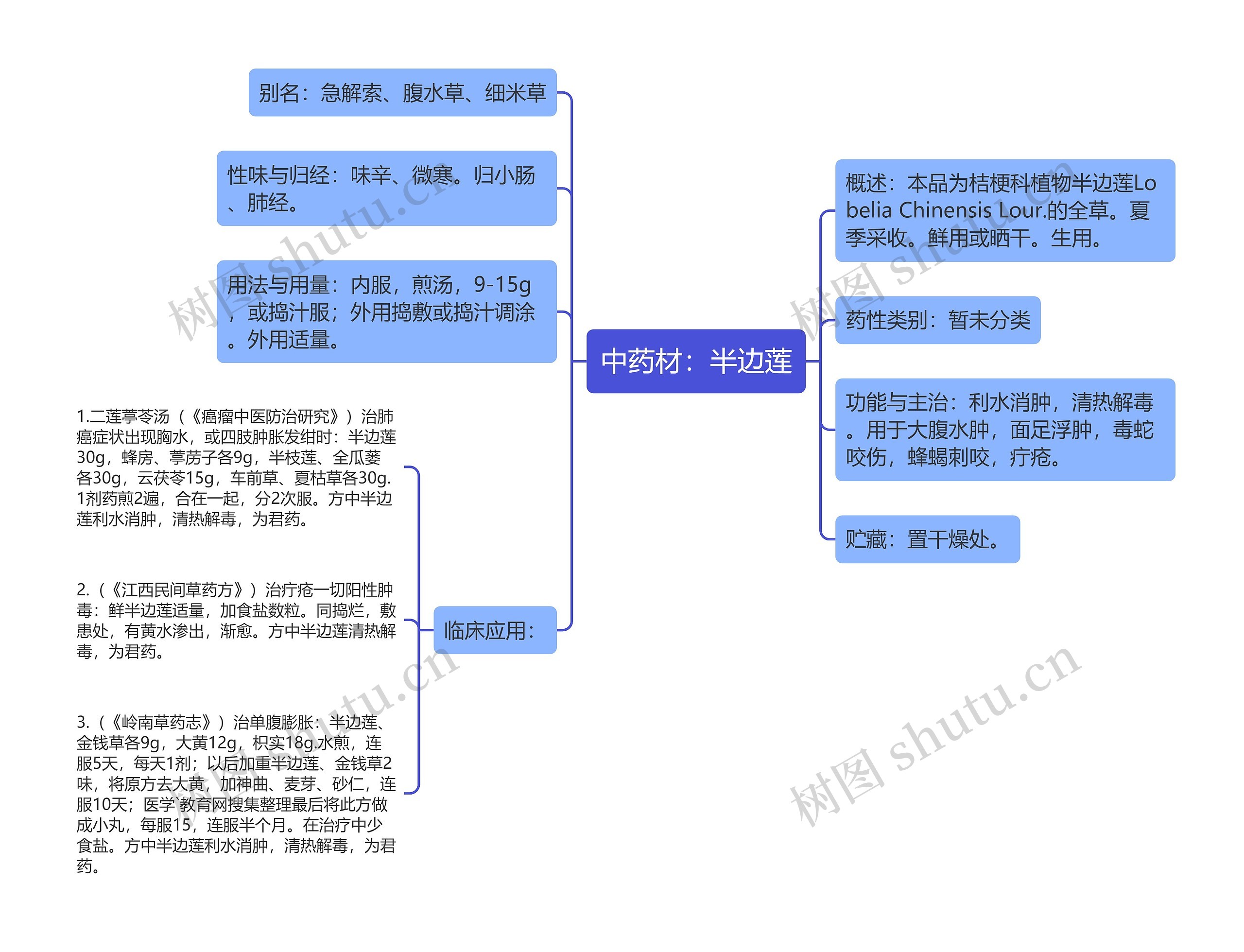 中药材：半边莲思维导图