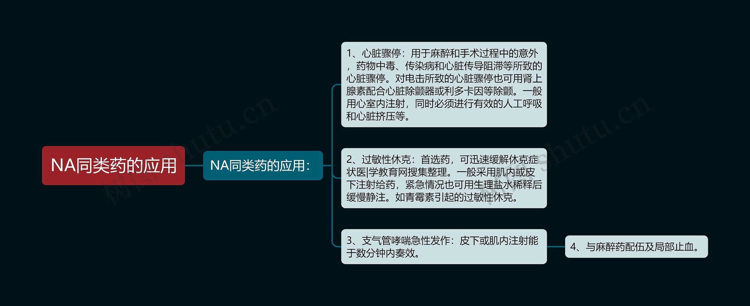 NA同类药的应用思维导图
