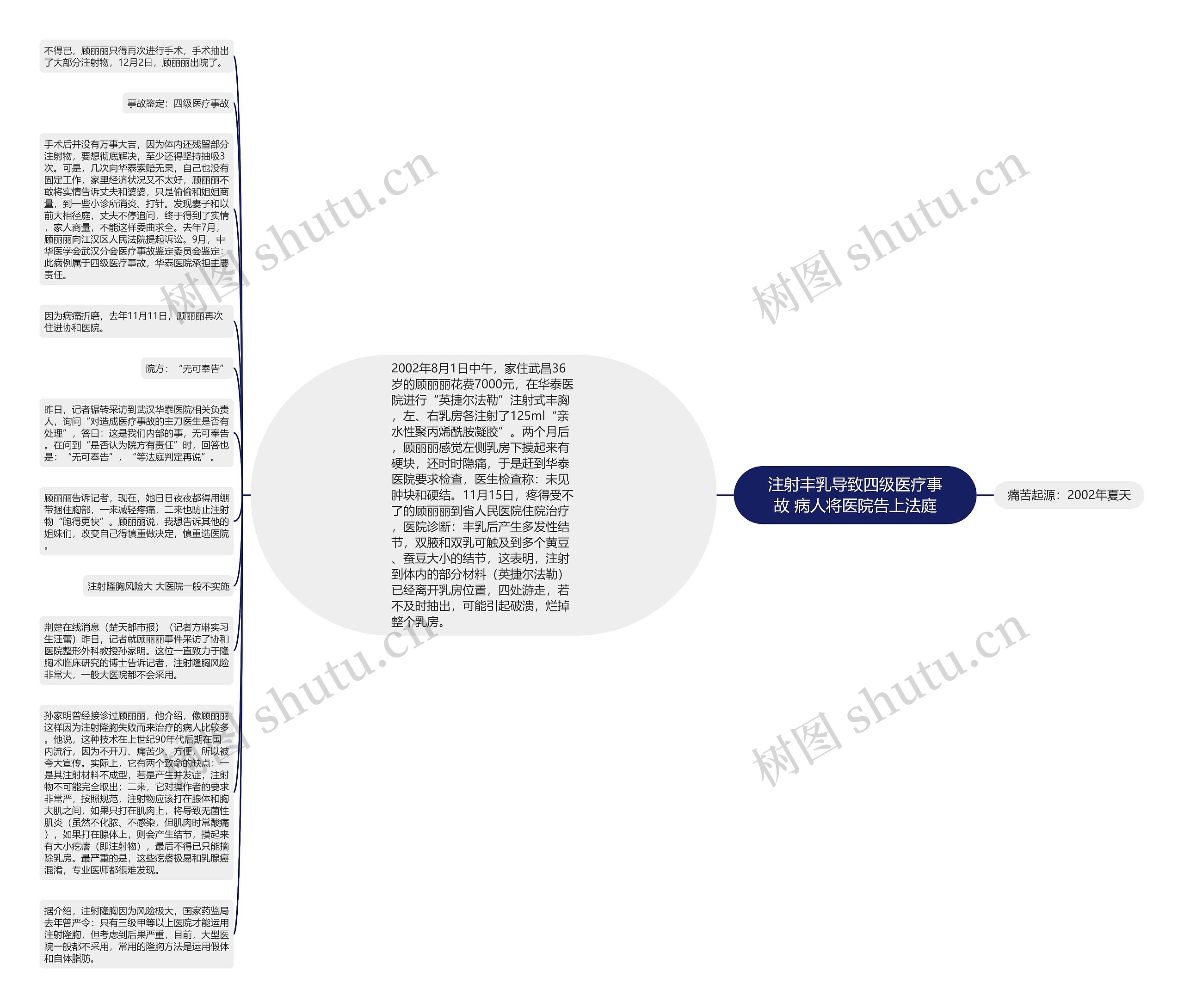 注射丰乳导致四级医疗事故 病人将医院告上法庭思维导图