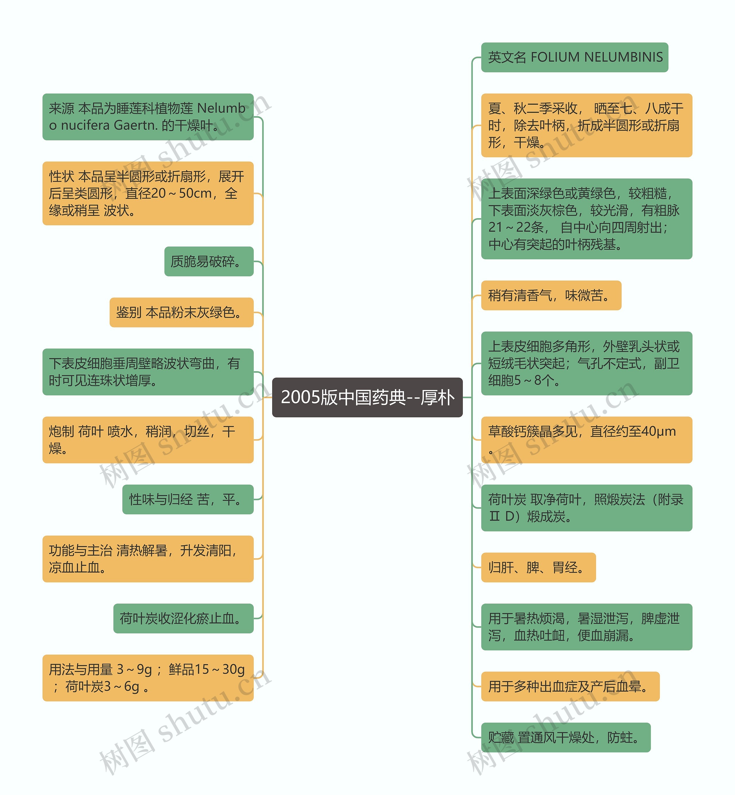 2005版中国药典--厚朴 2005版中国药典--厚朴