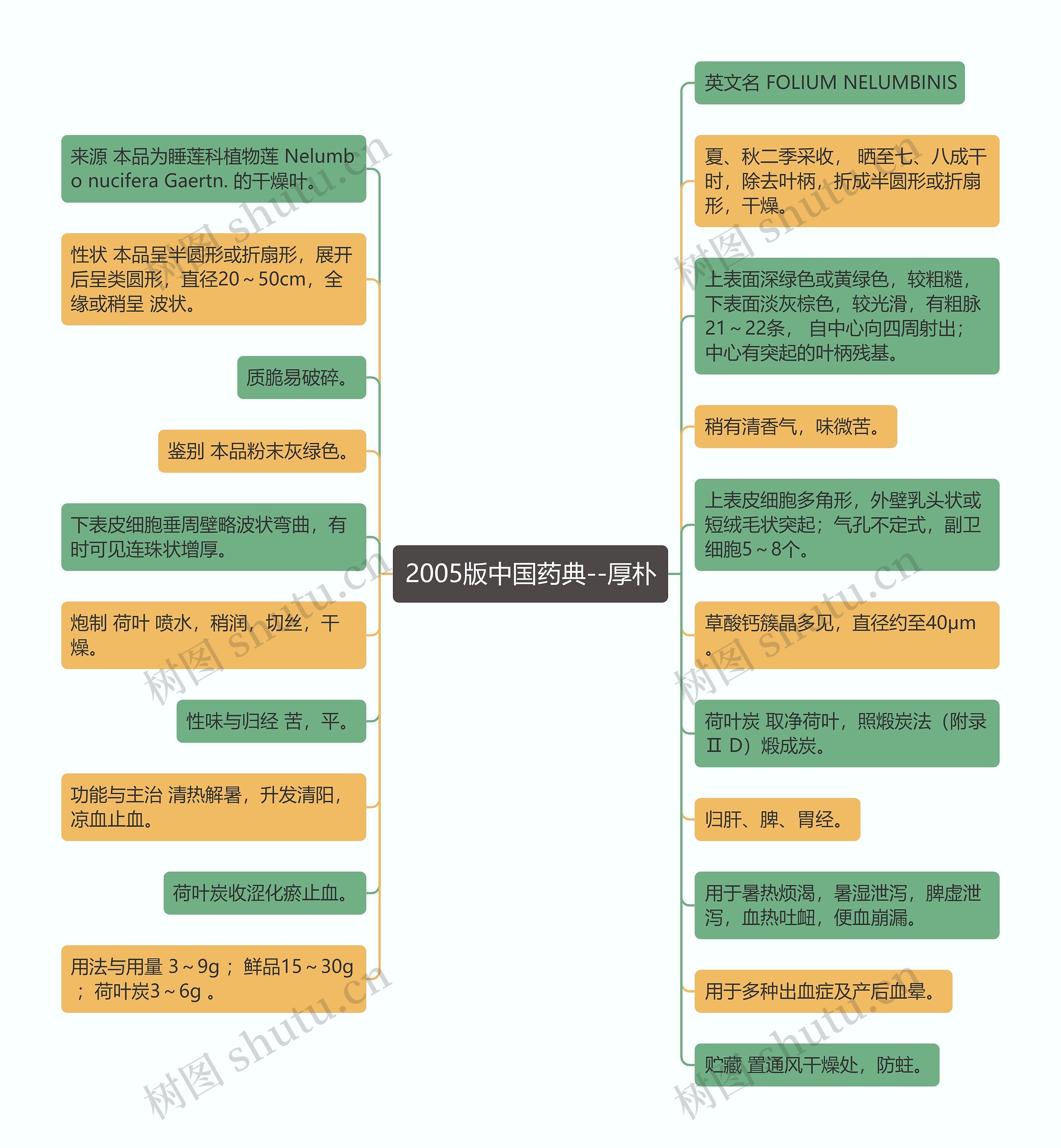 2005版中国药典--厚朴思维导图