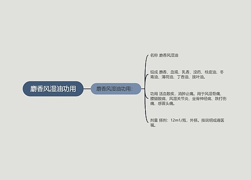 麝香风湿油功用