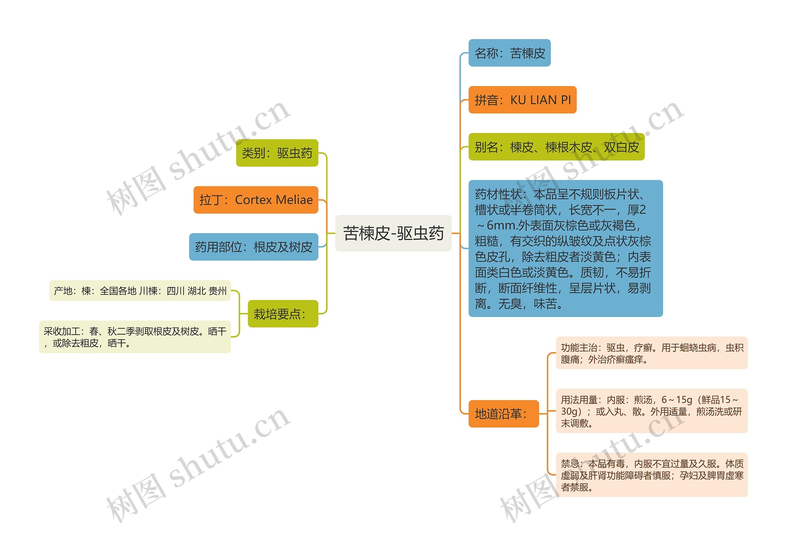 苦楝皮-驱虫药思维导图