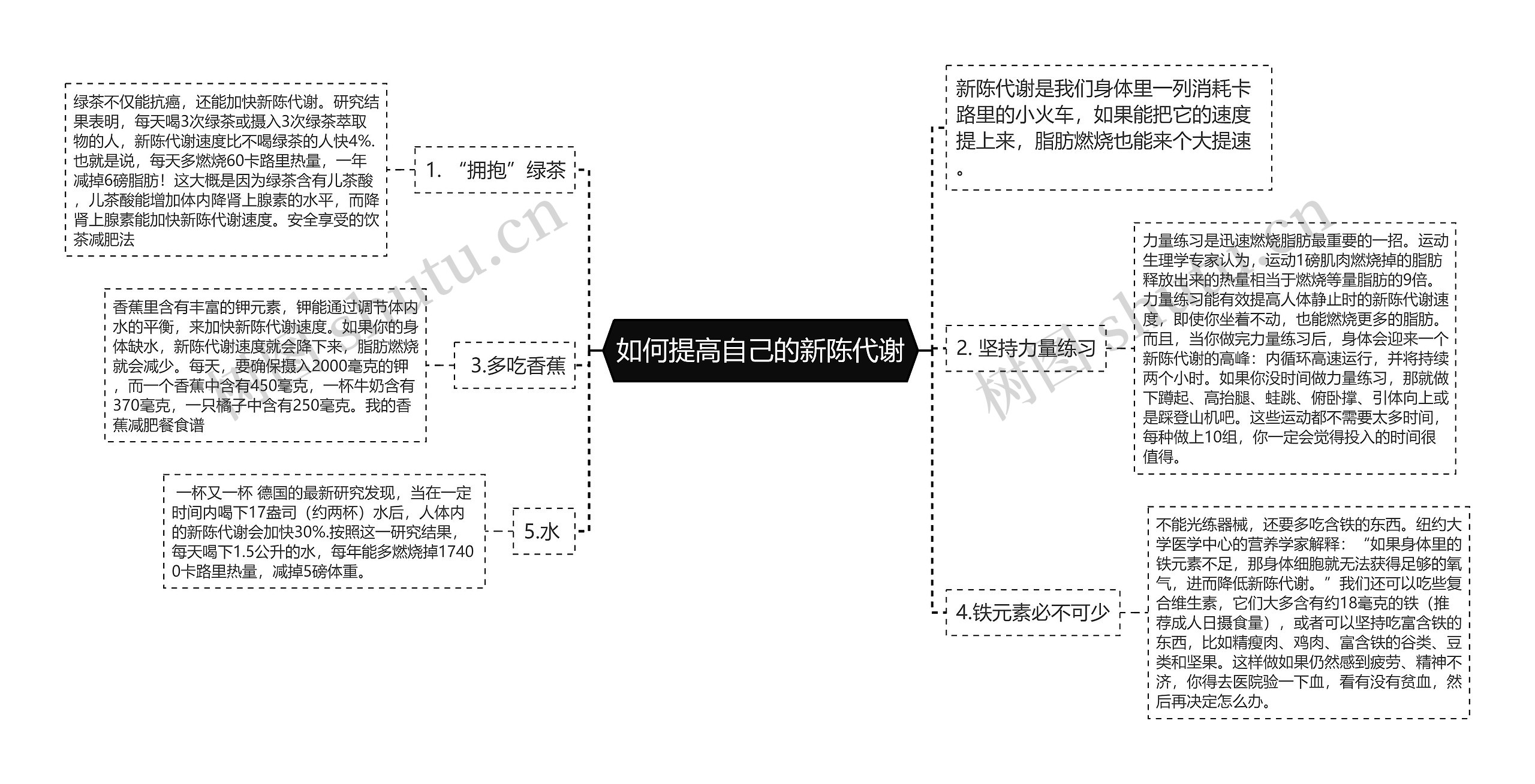 如何提高自己的新陈代谢思维导图