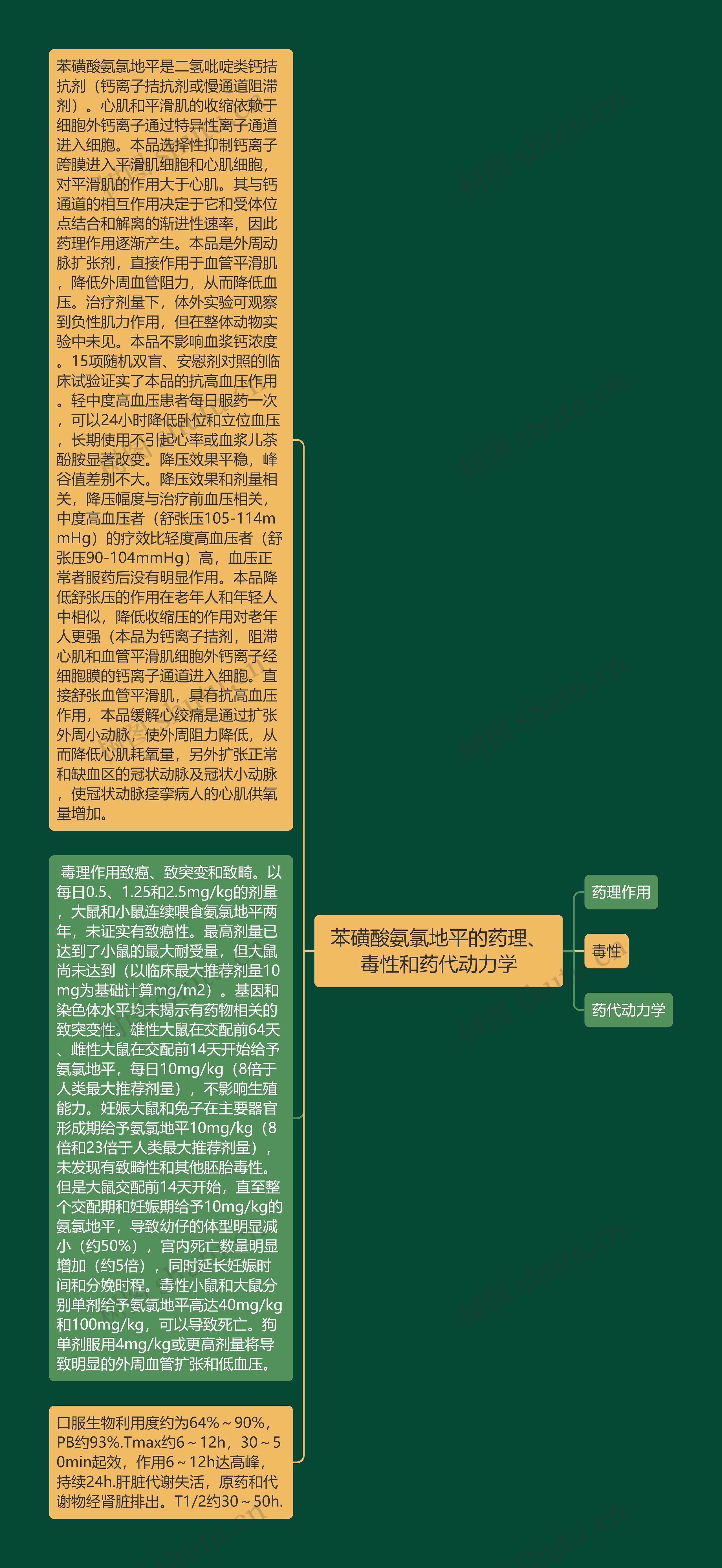 苯磺酸氨氯地平的药理、毒性和药代动力学