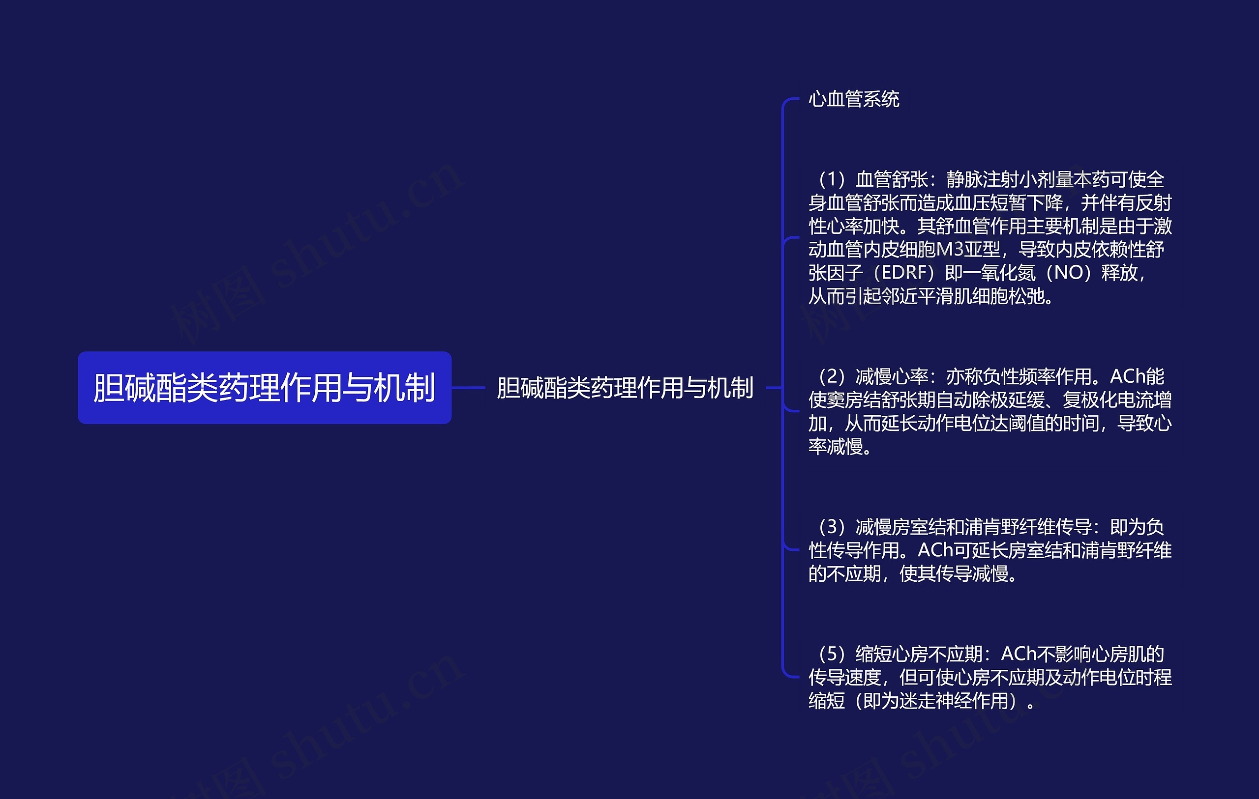 胆碱酯类药理作用与机制思维导图