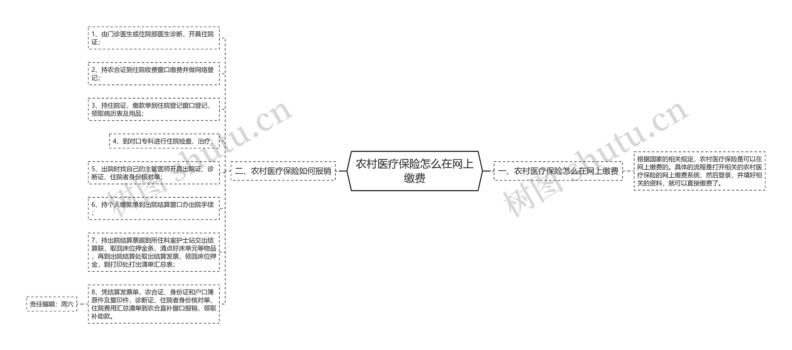 农村医疗保险怎么在网上缴费思维导图