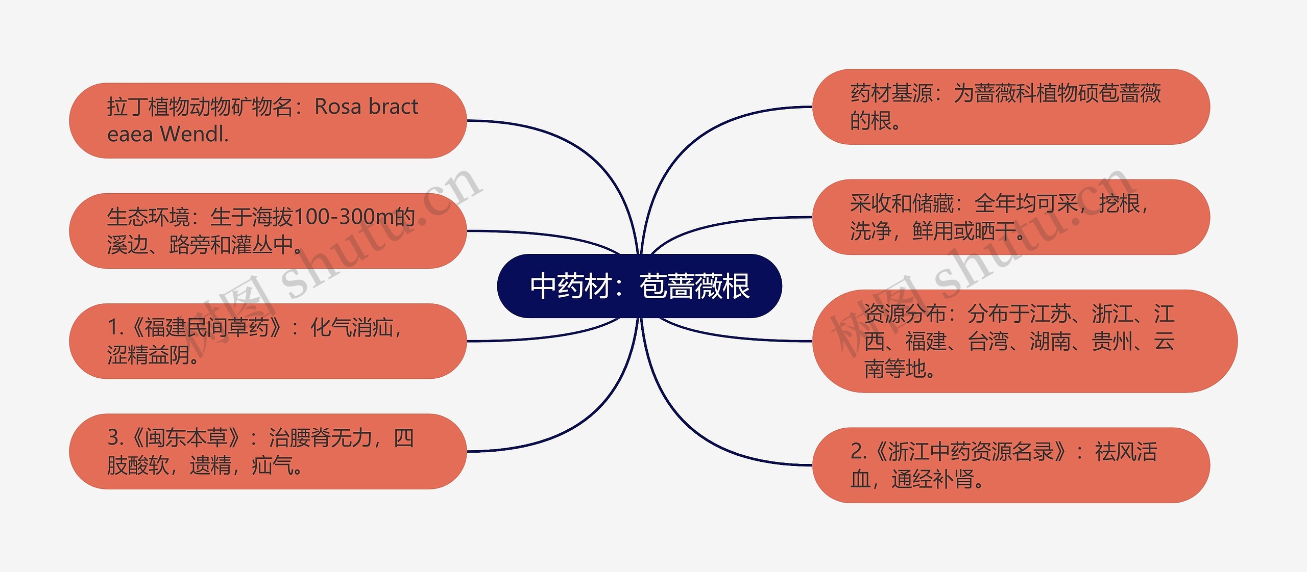 中药材：苞蔷薇根思维导图