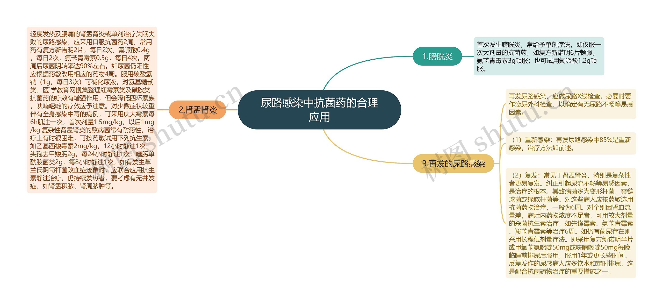 尿路感染中抗菌药的合理应用