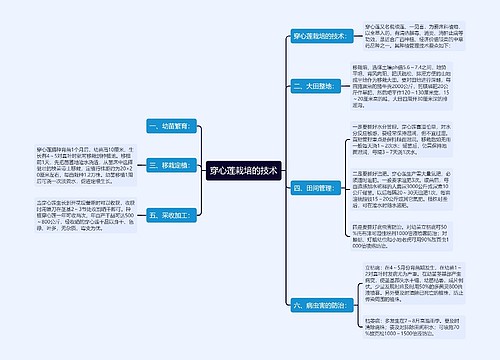 穿心莲栽培的技术