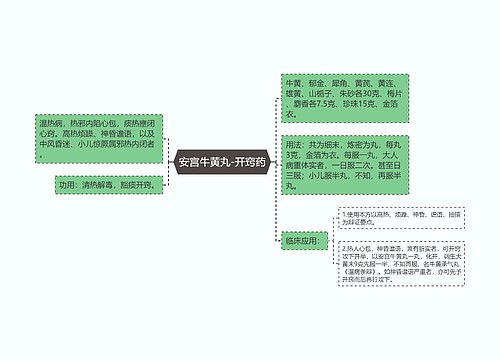 安宫牛黄丸-开窍药