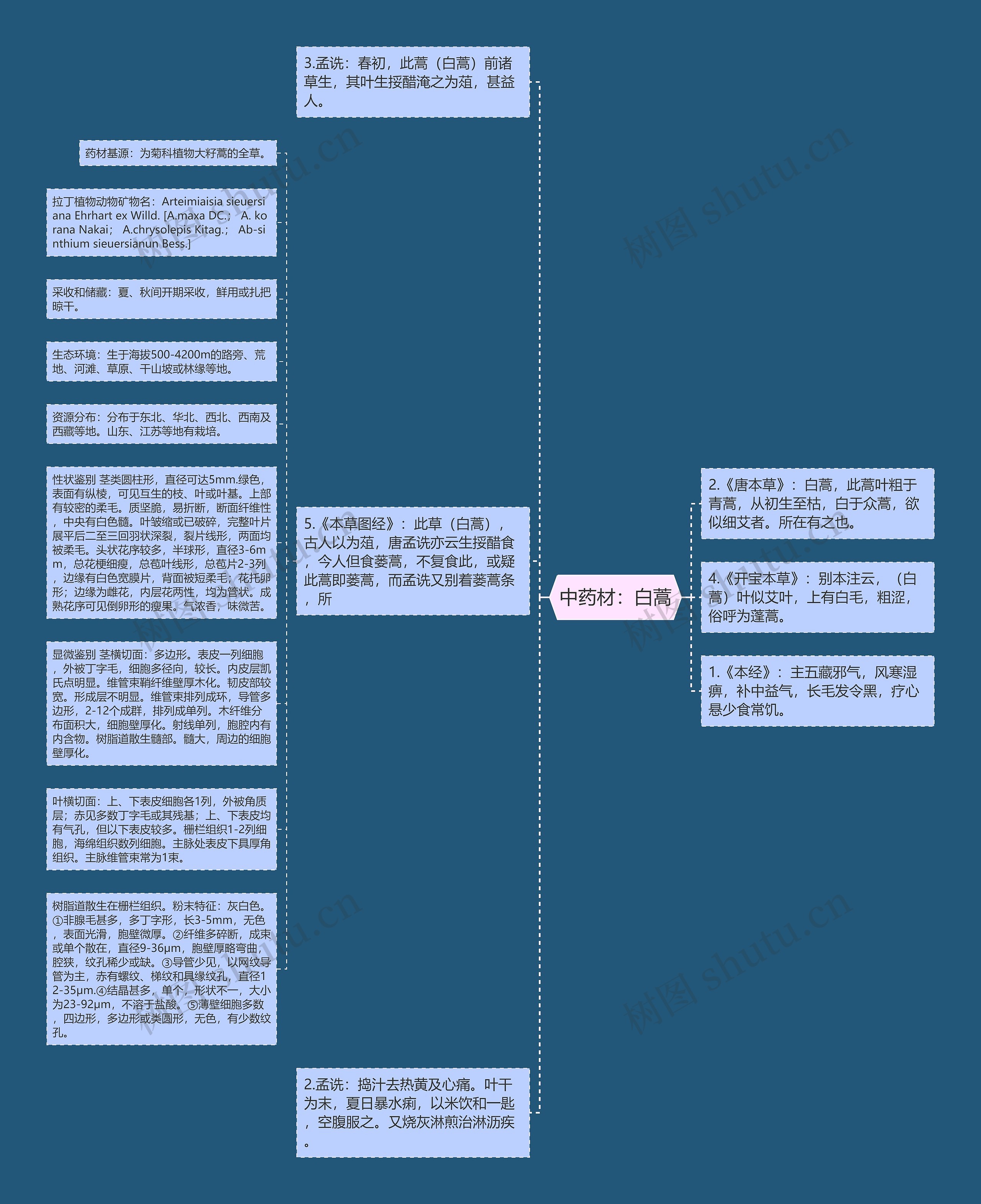 中药材：白蒿思维导图