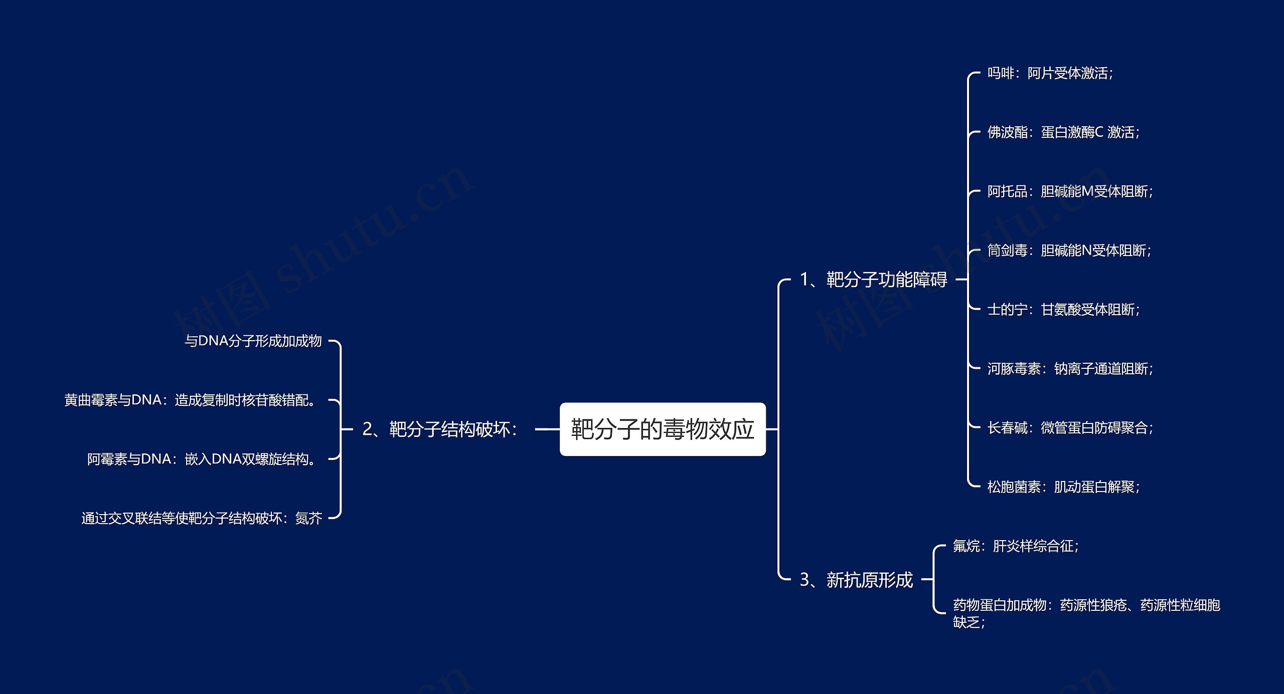 靶分子的毒物效应 靶分子的毒物效应
