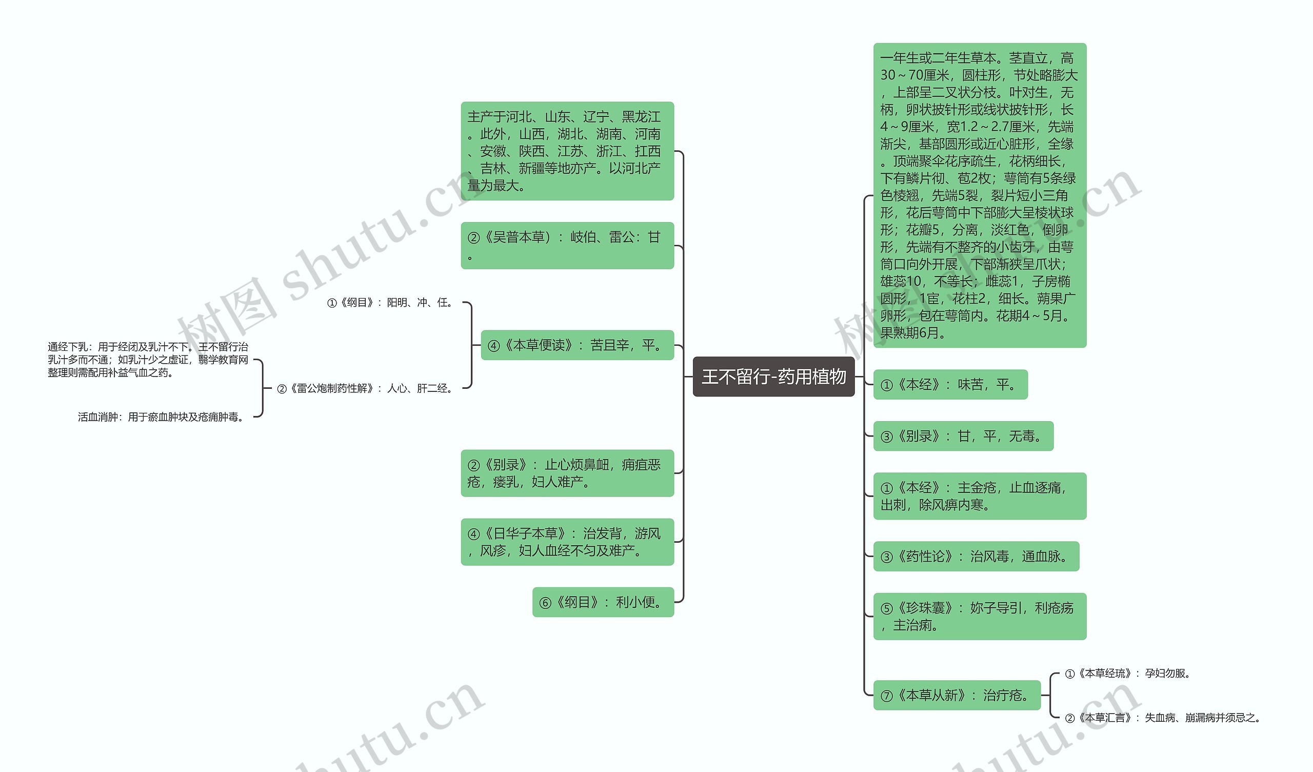 王不留行-药用植物思维导图