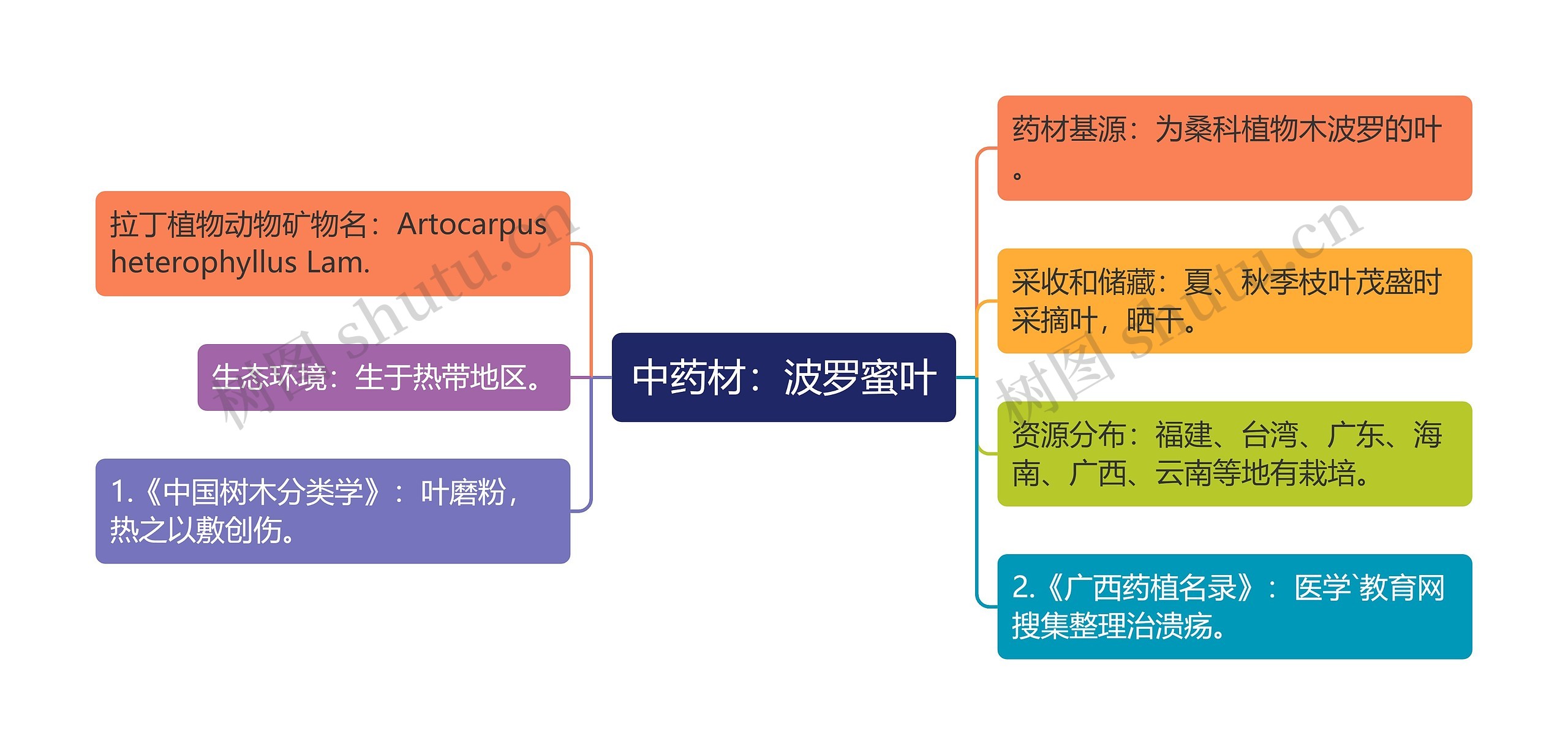 中药材：波罗蜜叶思维导图