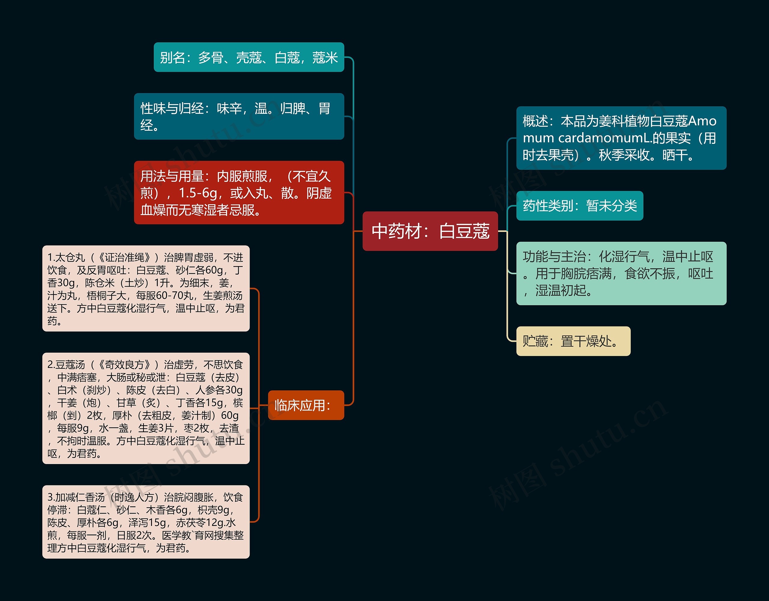 中药材：白豆蔻思维导图