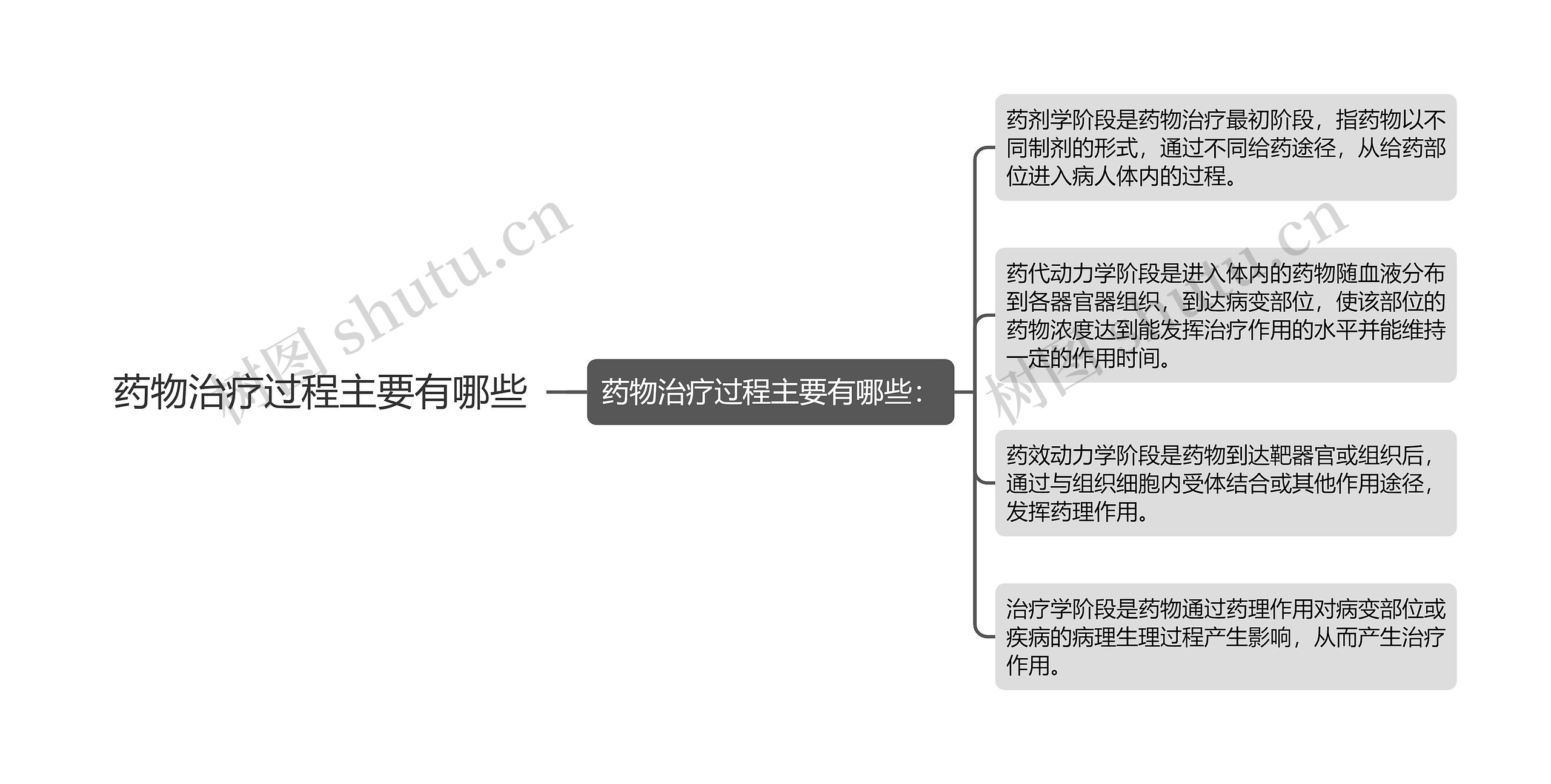 药物治疗过程主要有哪些思维导图