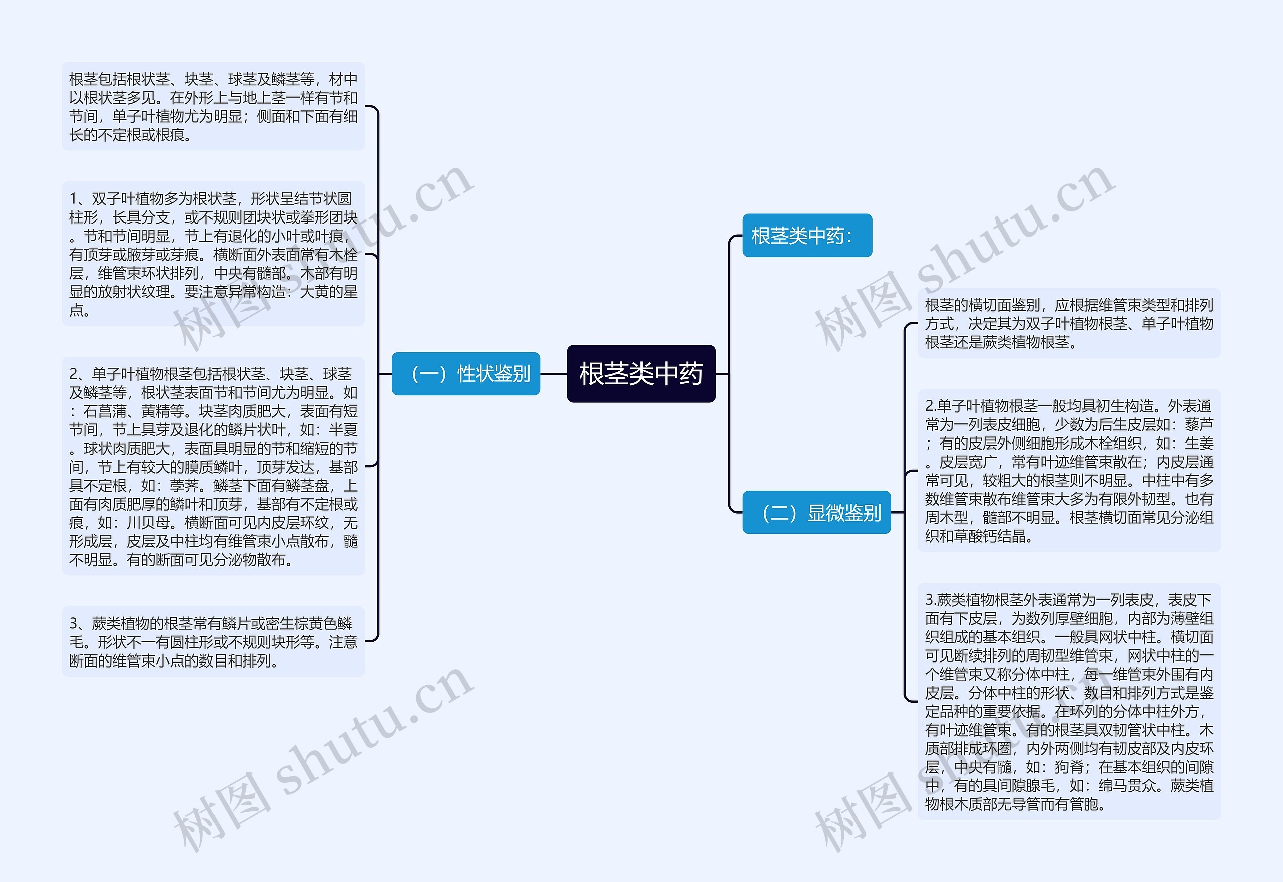 根茎类中药 根茎类中药